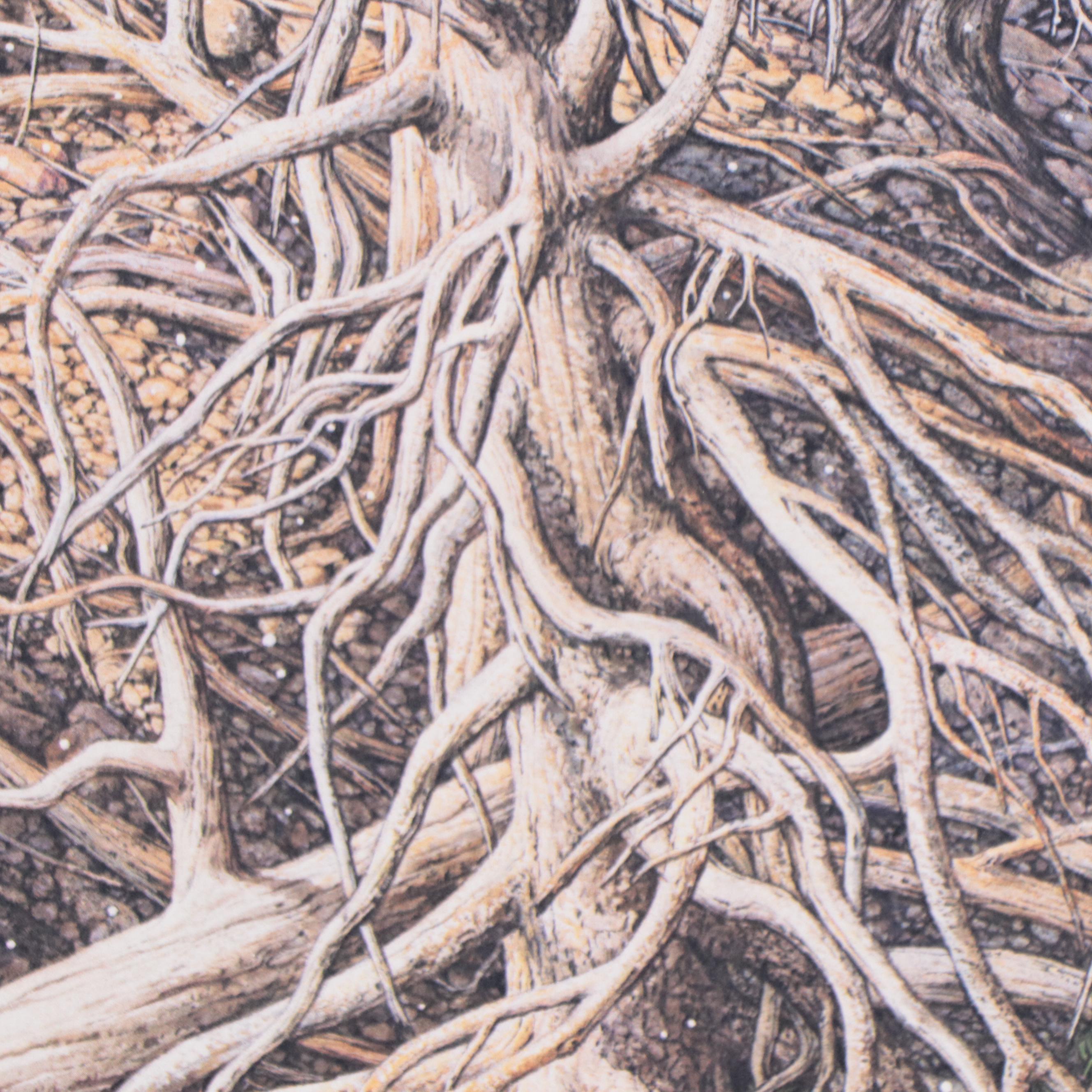 Bev Doolittle Offset Lithograph "Prayer for the Wild Things," 1993