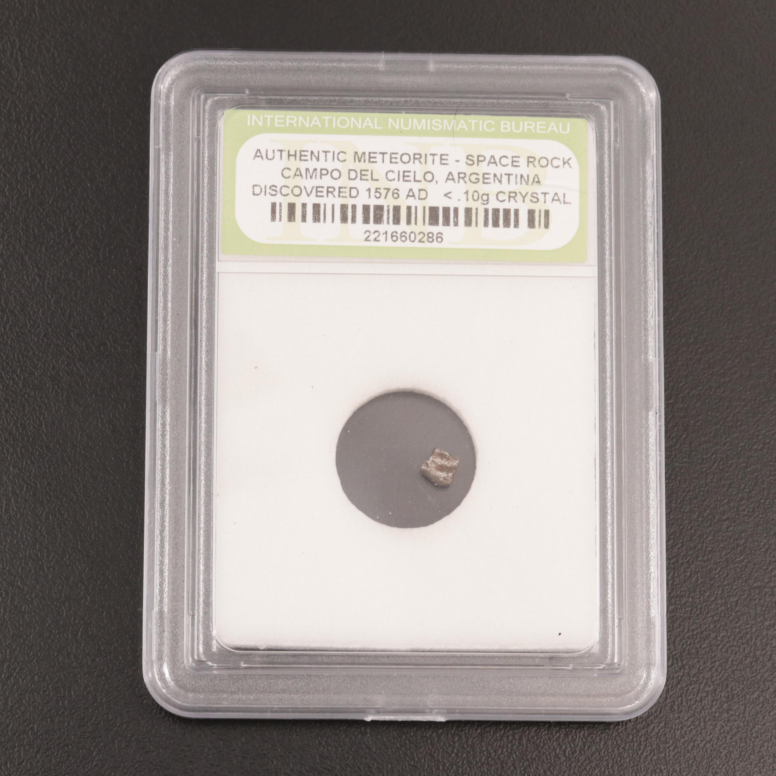 246-Gram Campo del Cielo Meteorite and Meteorite Fragment