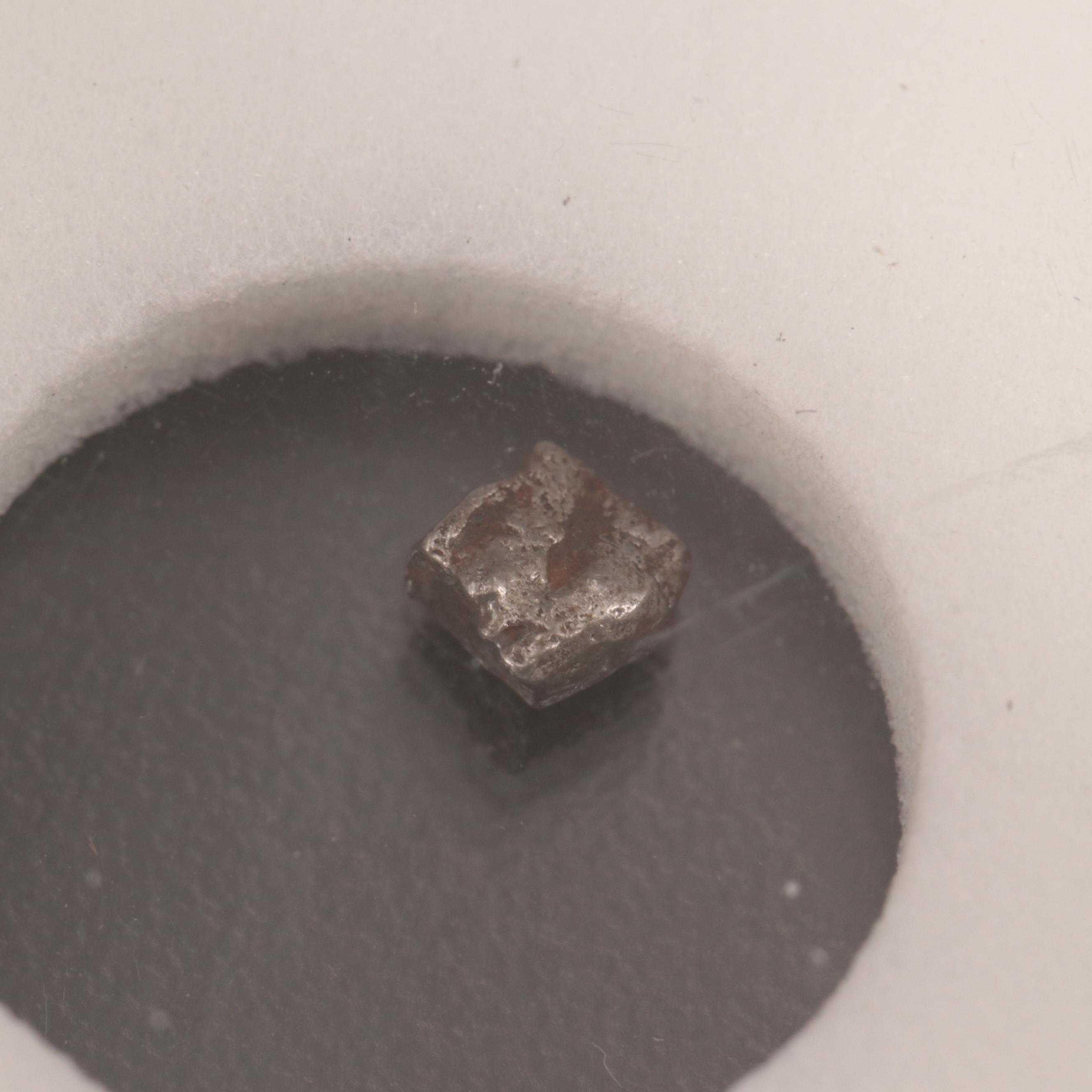 246-Gram Campo del Cielo Meteorite and Meteorite Fragment