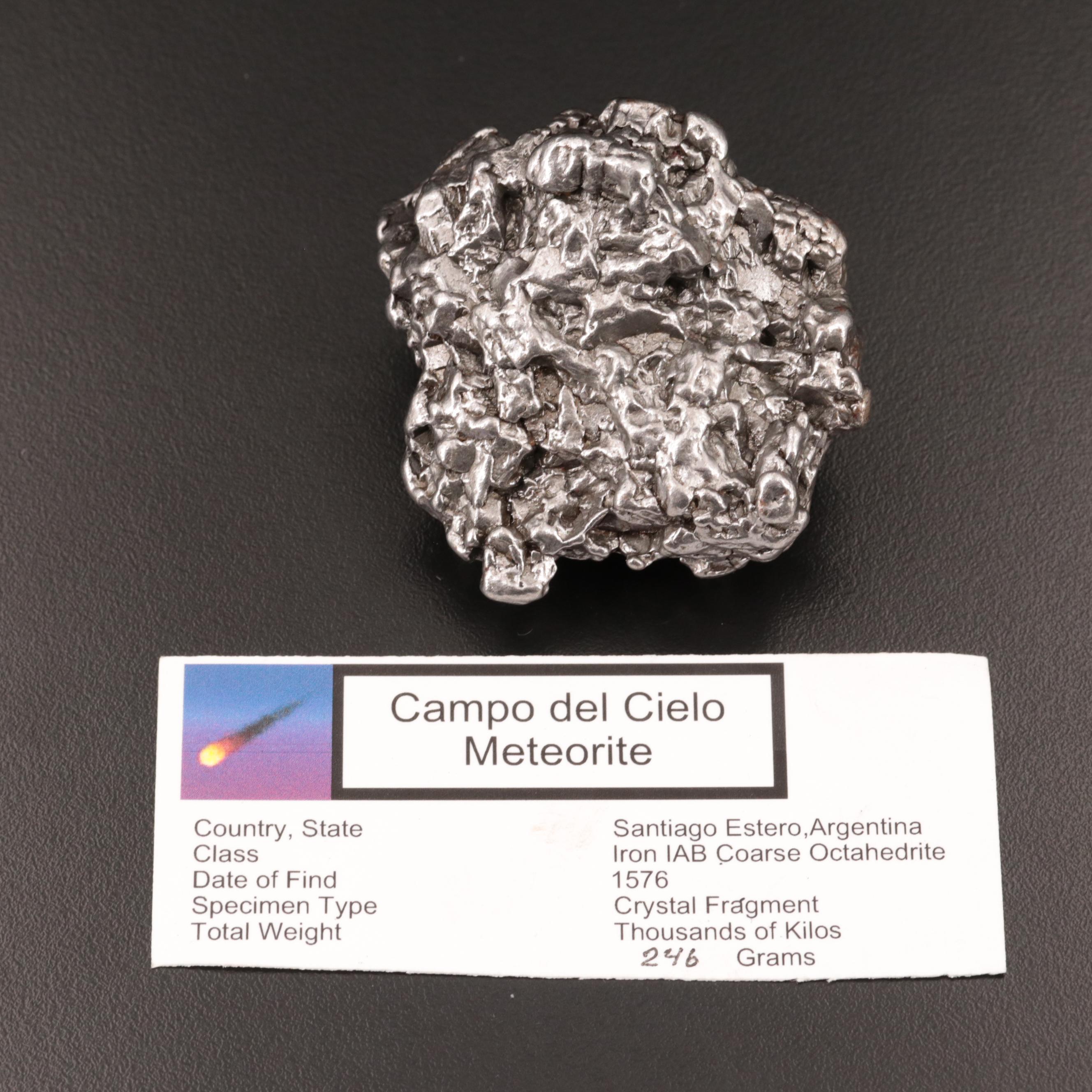 246-Gram Campo del Cielo Meteorite and Meteorite Fragment