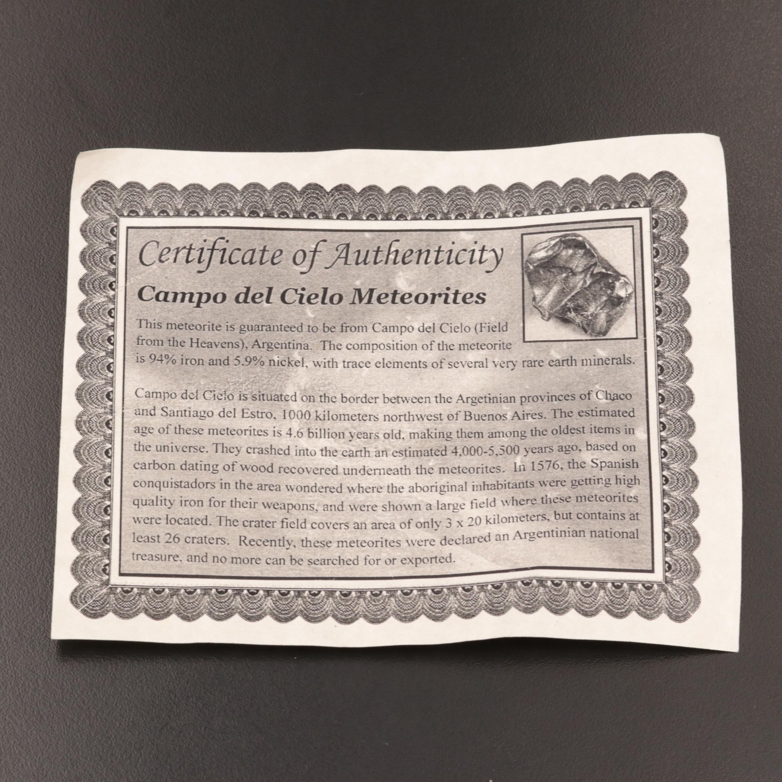 246-Gram Campo del Cielo Meteorite and Meteorite Fragment