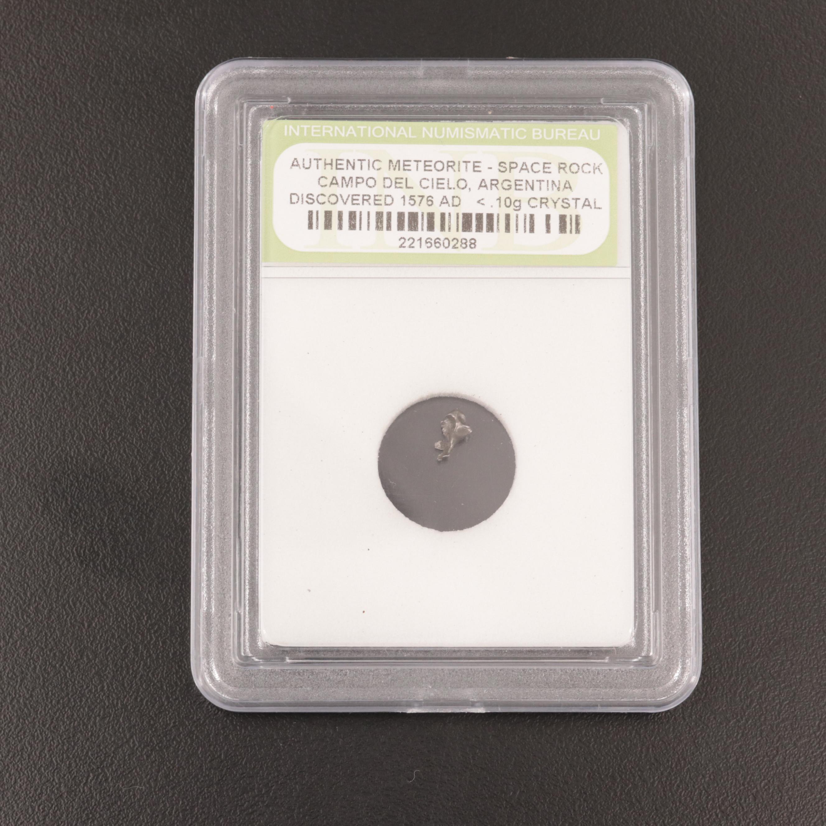 212-Gram Campo del Cielo Meteorite and Meteorite Fragment