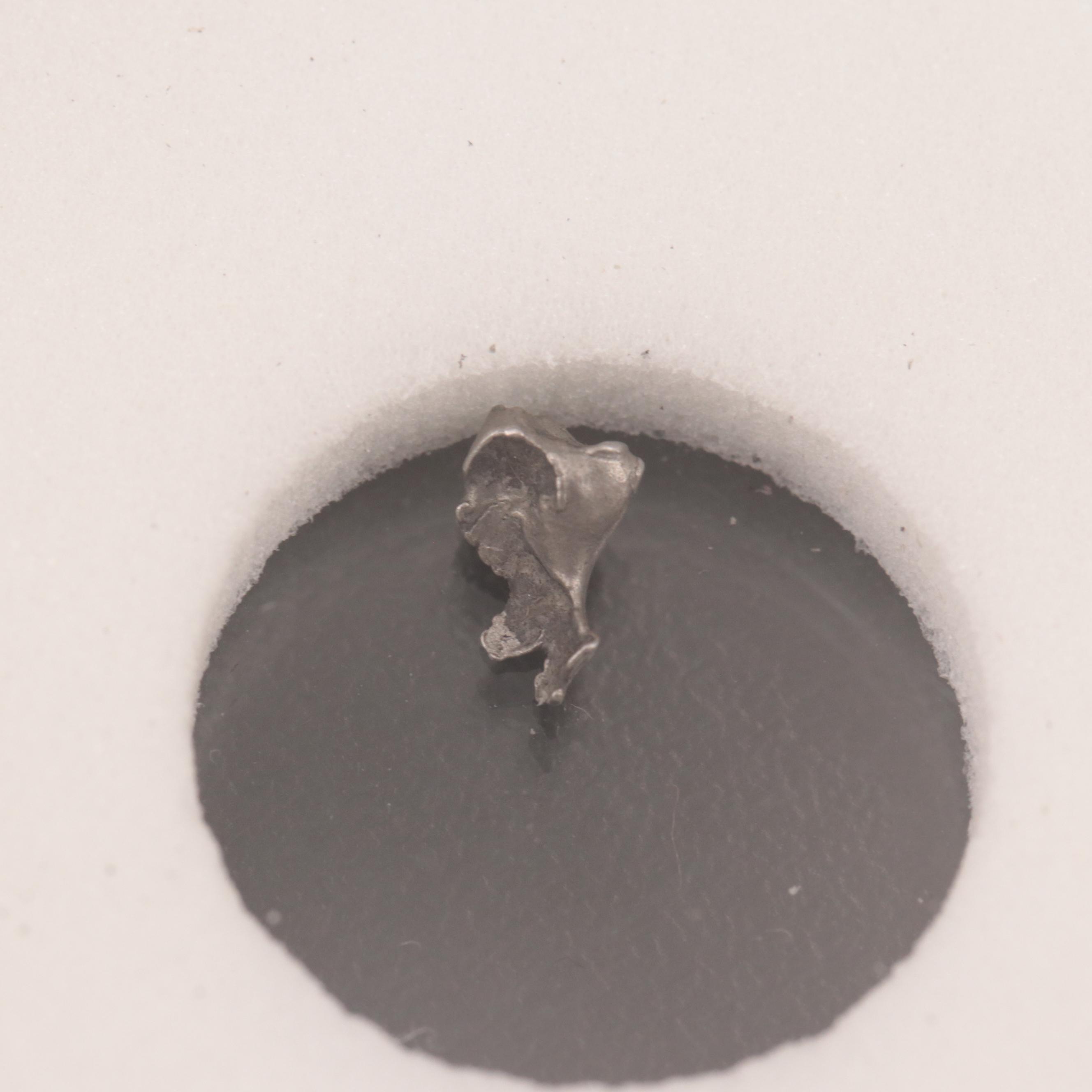 212-Gram Campo del Cielo Meteorite and Meteorite Fragment