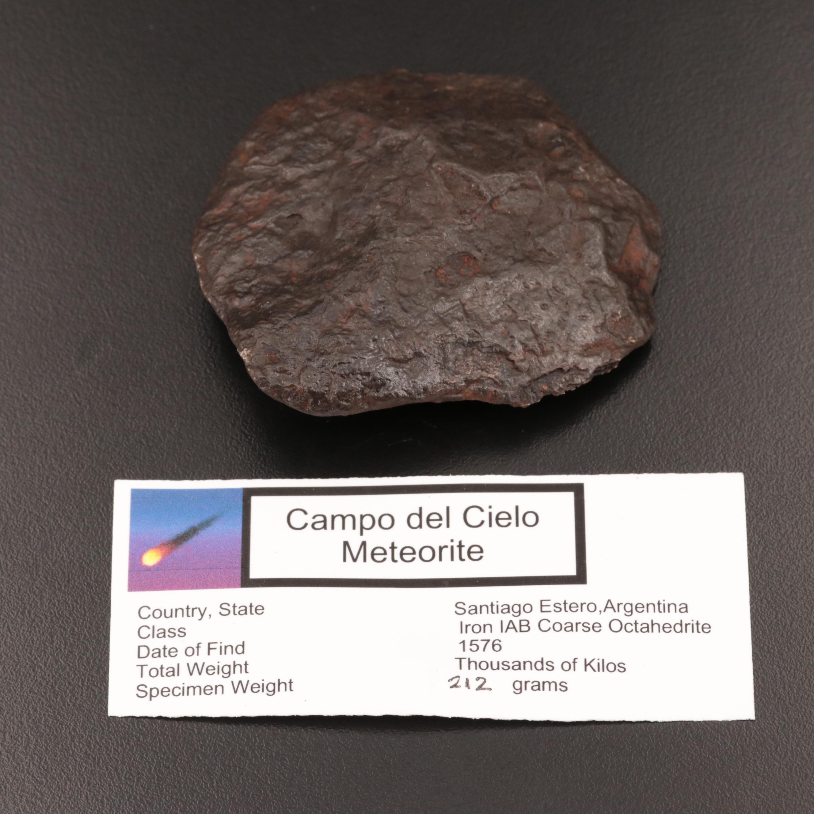 212-Gram Campo del Cielo Meteorite and Meteorite Fragment