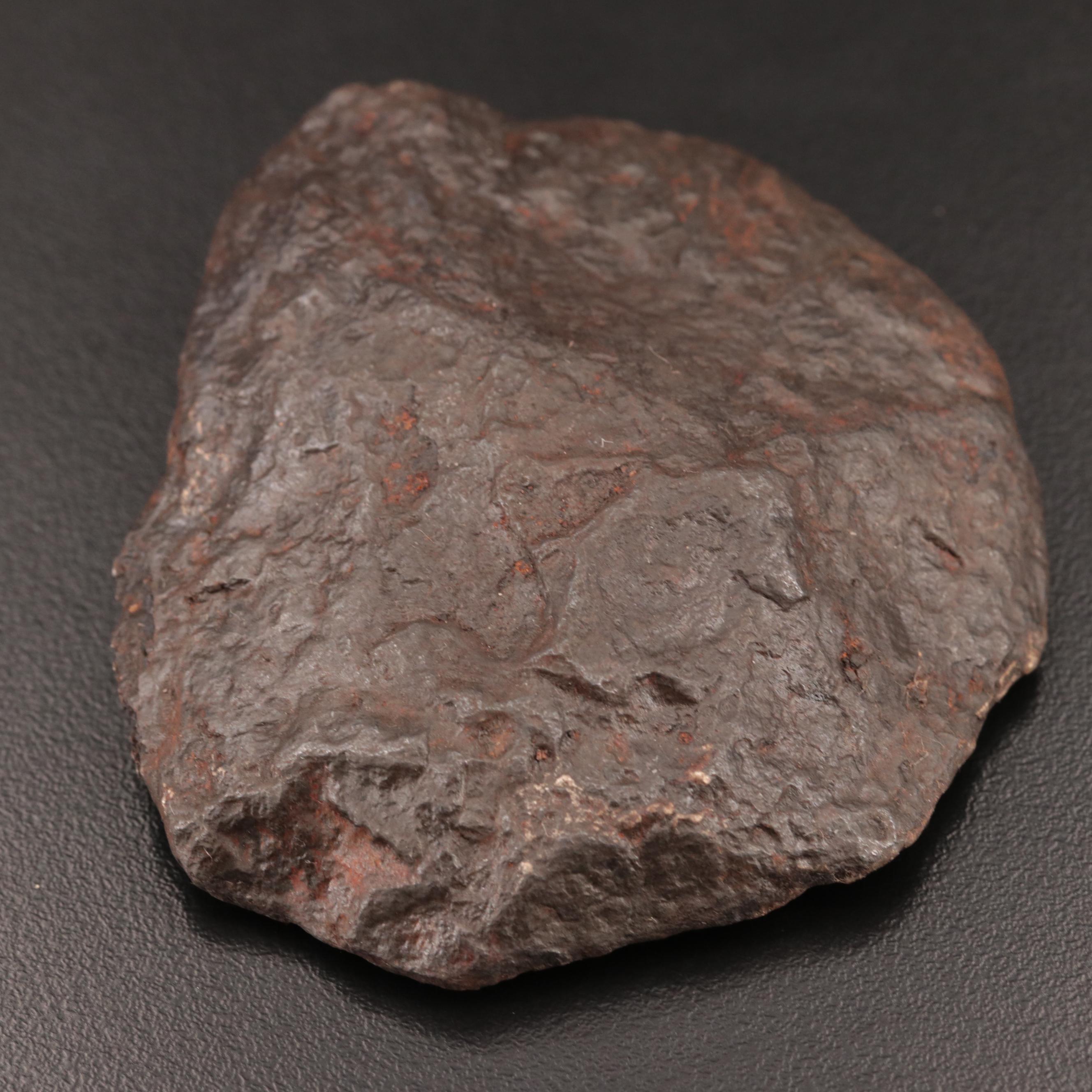 212-Gram Campo del Cielo Meteorite and Meteorite Fragment