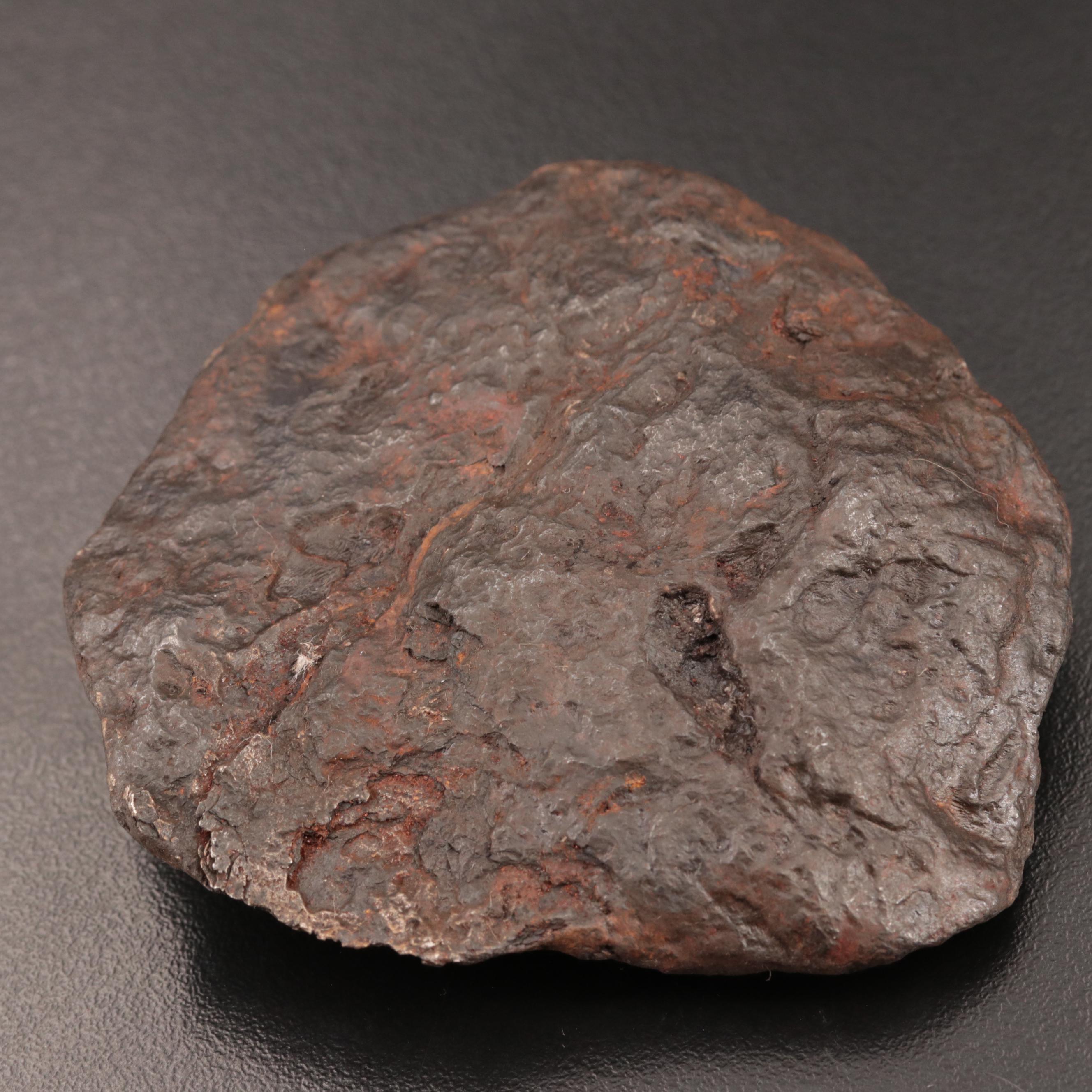 212-Gram Campo del Cielo Meteorite and Meteorite Fragment