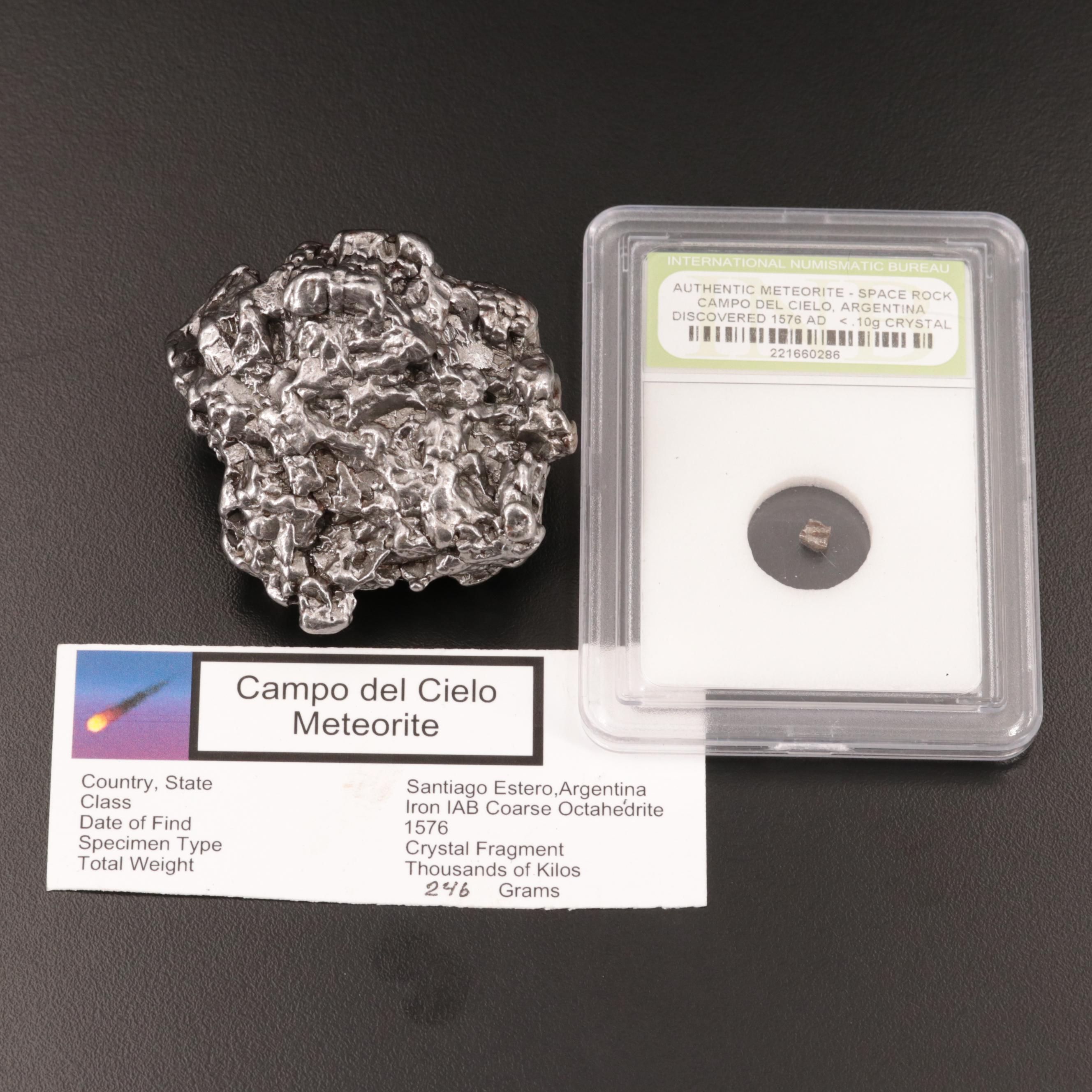 246-Gram Campo del Cielo Meteorite and Meteorite Fragment