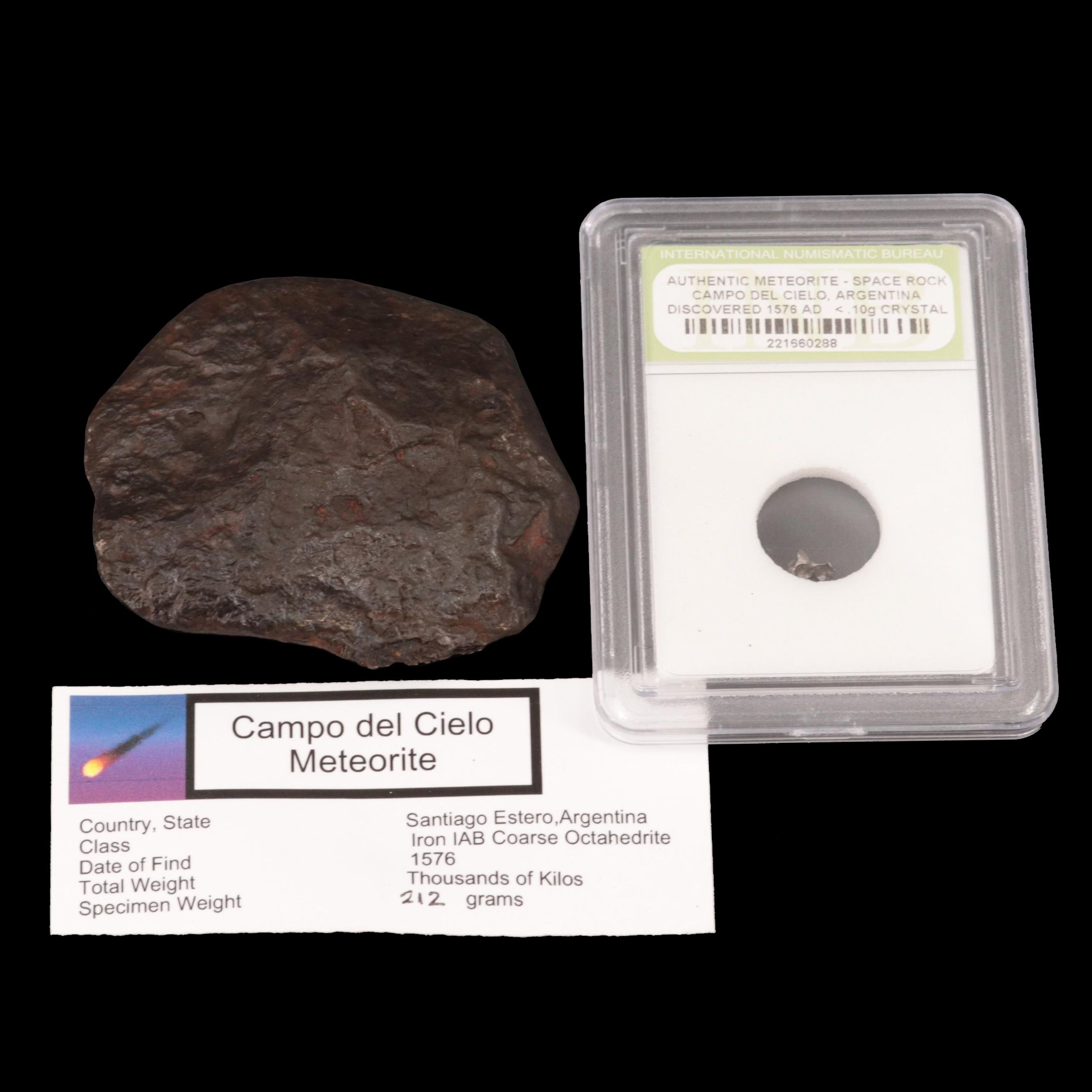 212-Gram Campo del Cielo Meteorite and Meteorite Fragment
