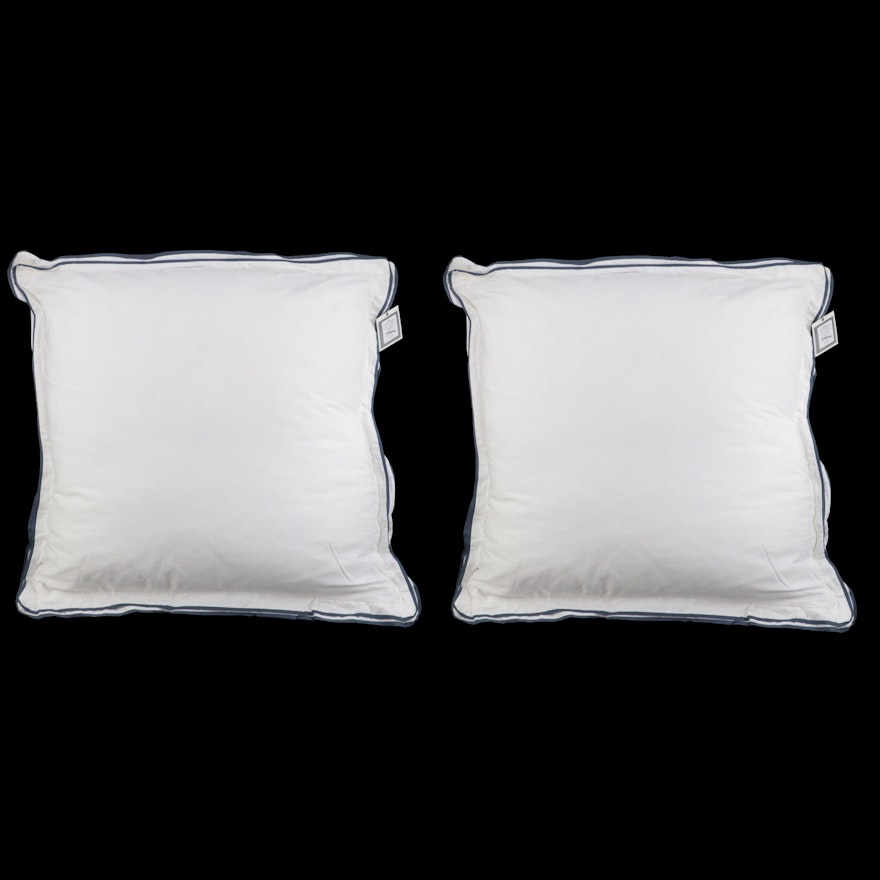 Pair of Threshold Signature Balanced Blue Border Euro Bed Pillows