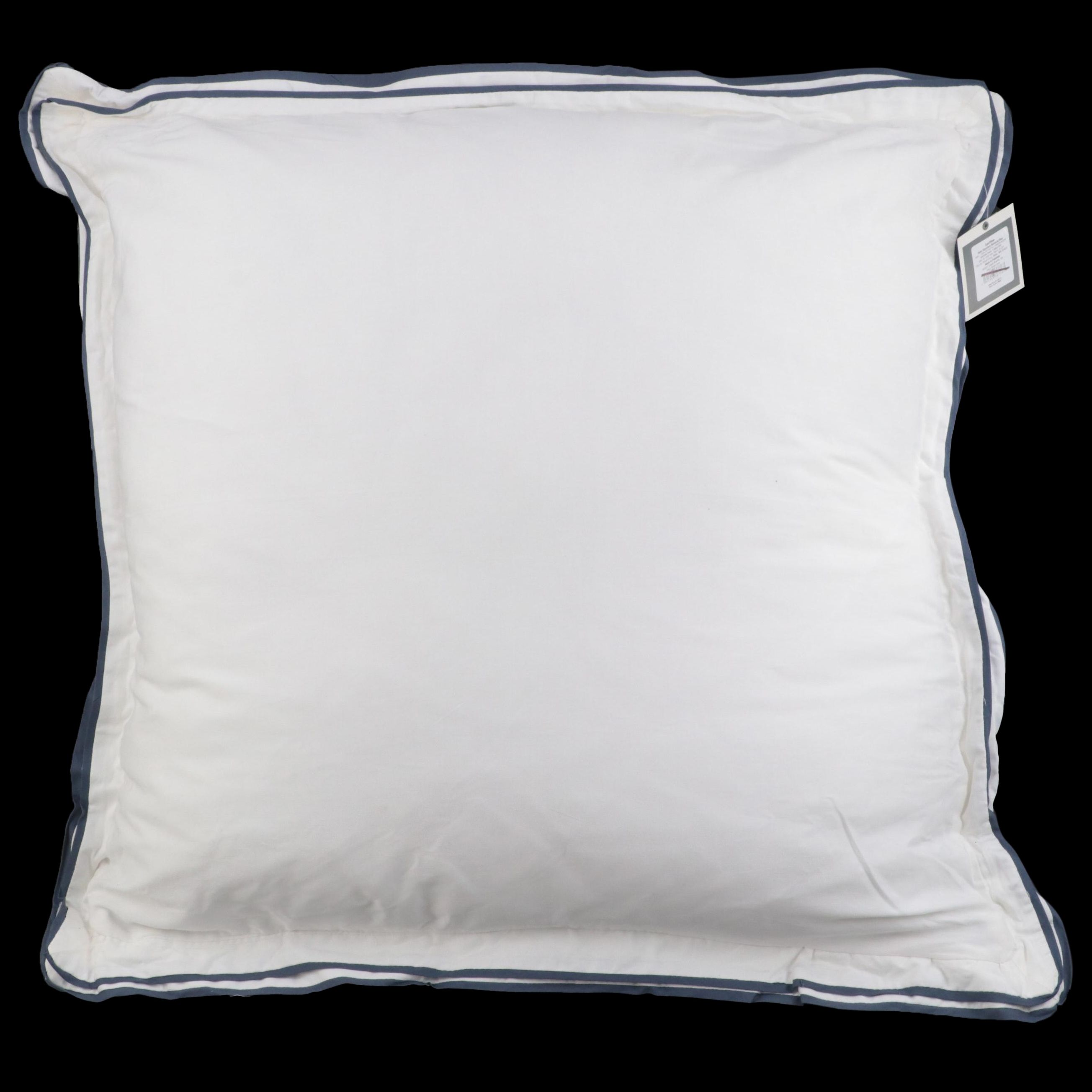 Pair of Threshold Signature Balanced Blue Border Euro Bed Pillows