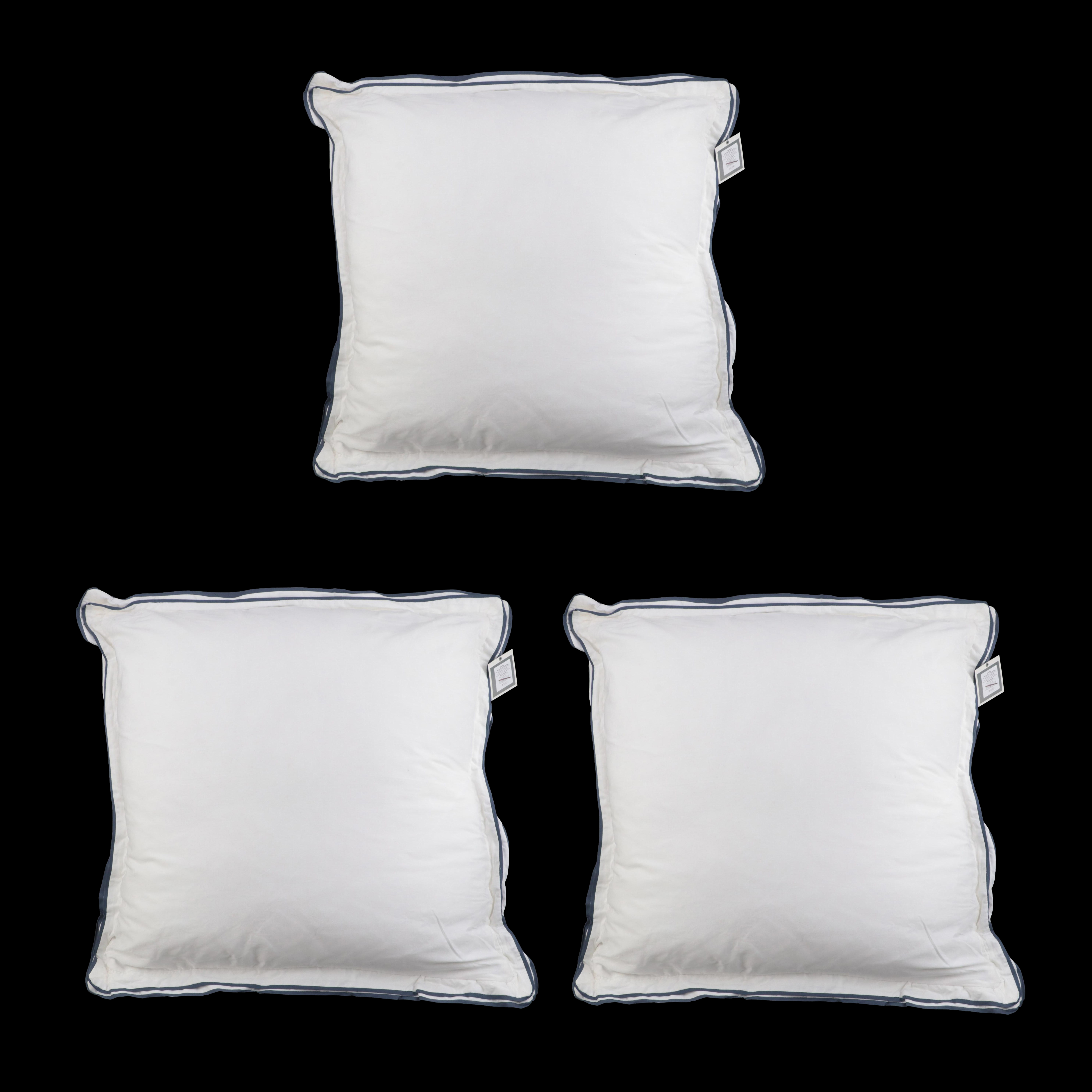 Three Threshold Signature Balanced Blue Border Euro Bed Pillows