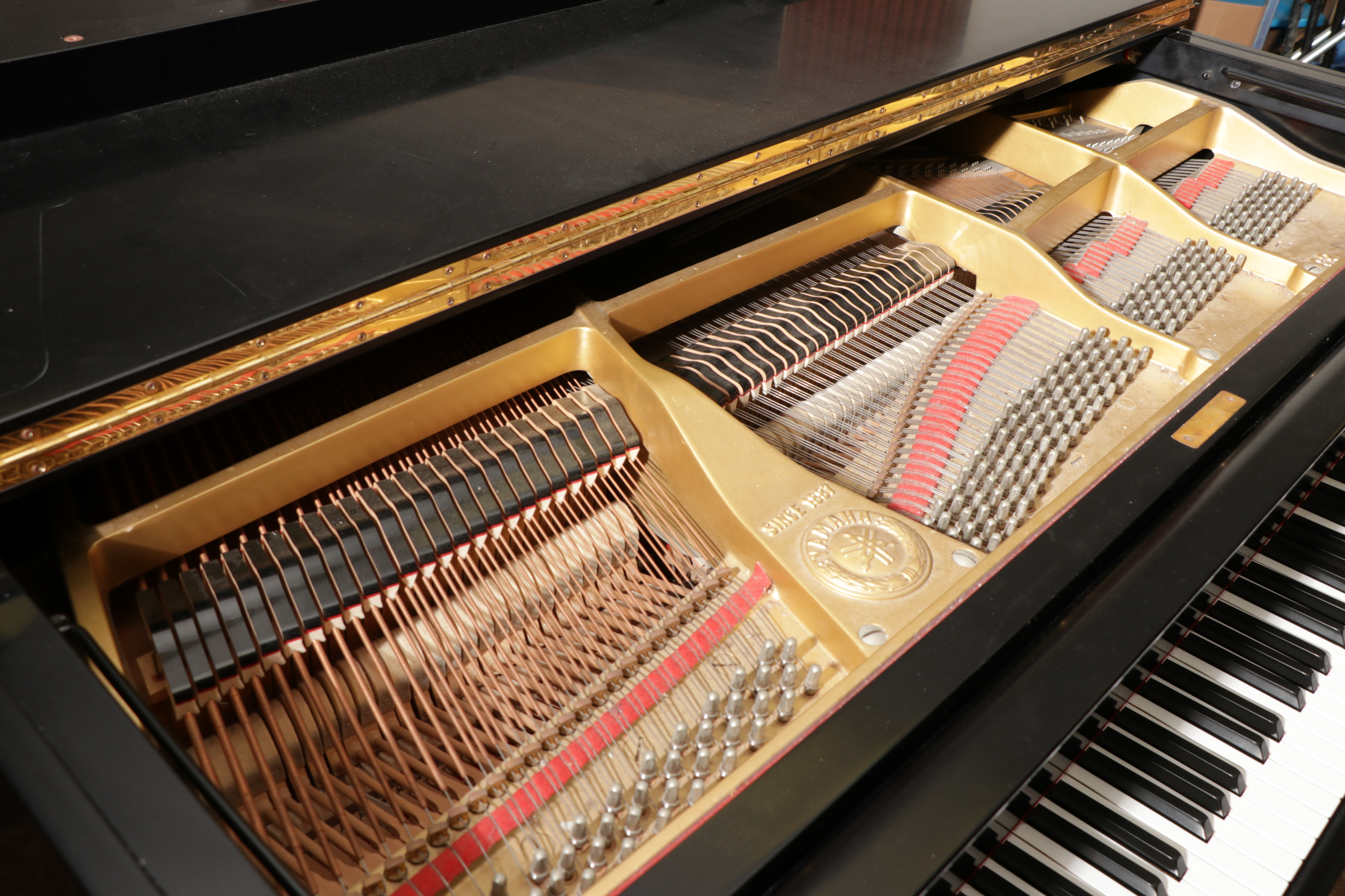 Yamaha G3 Polished Ebony Baby Grand Piano with Tufted Bench