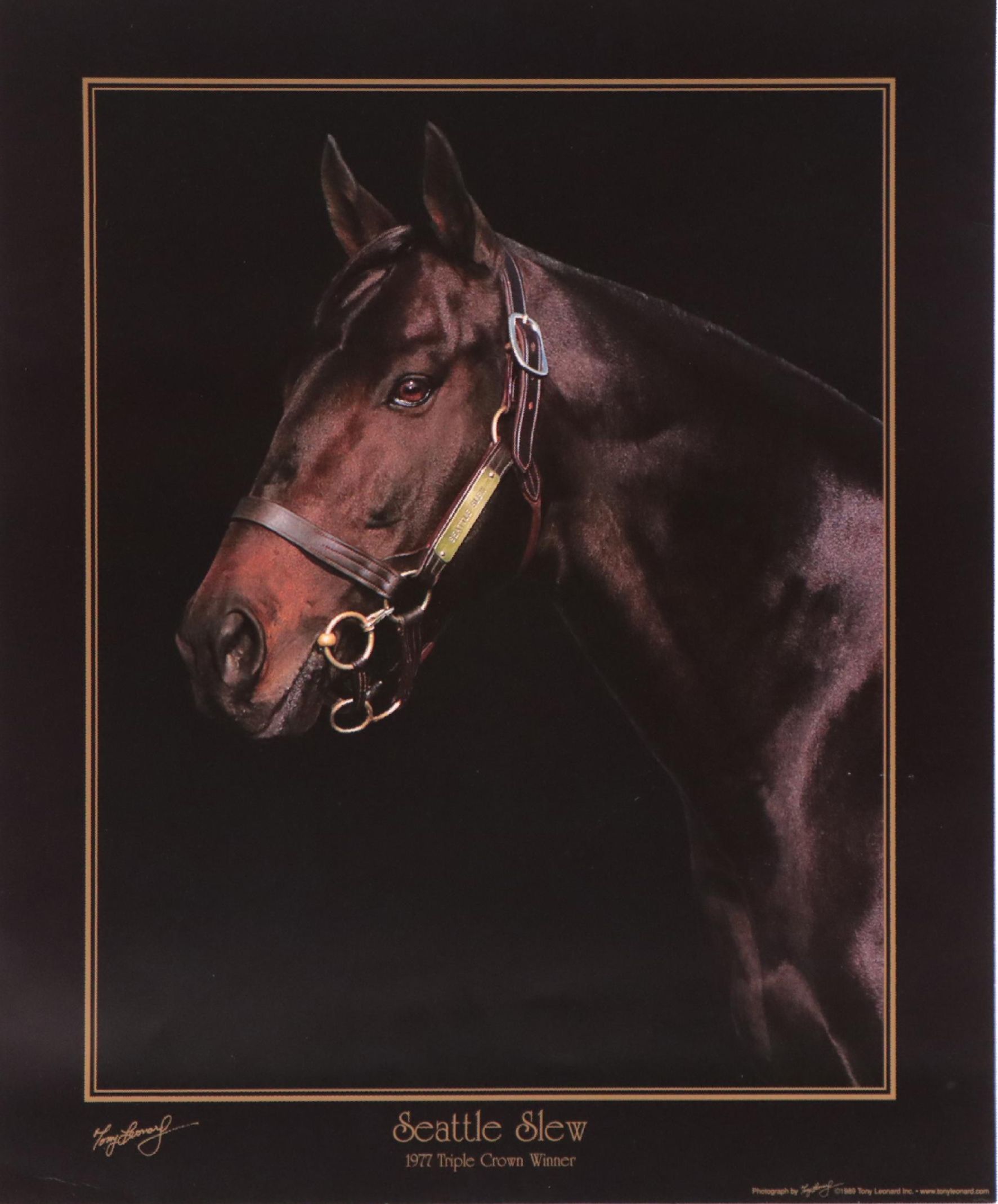Offset Lithograph After Tony Leonard "Seattle Slew"