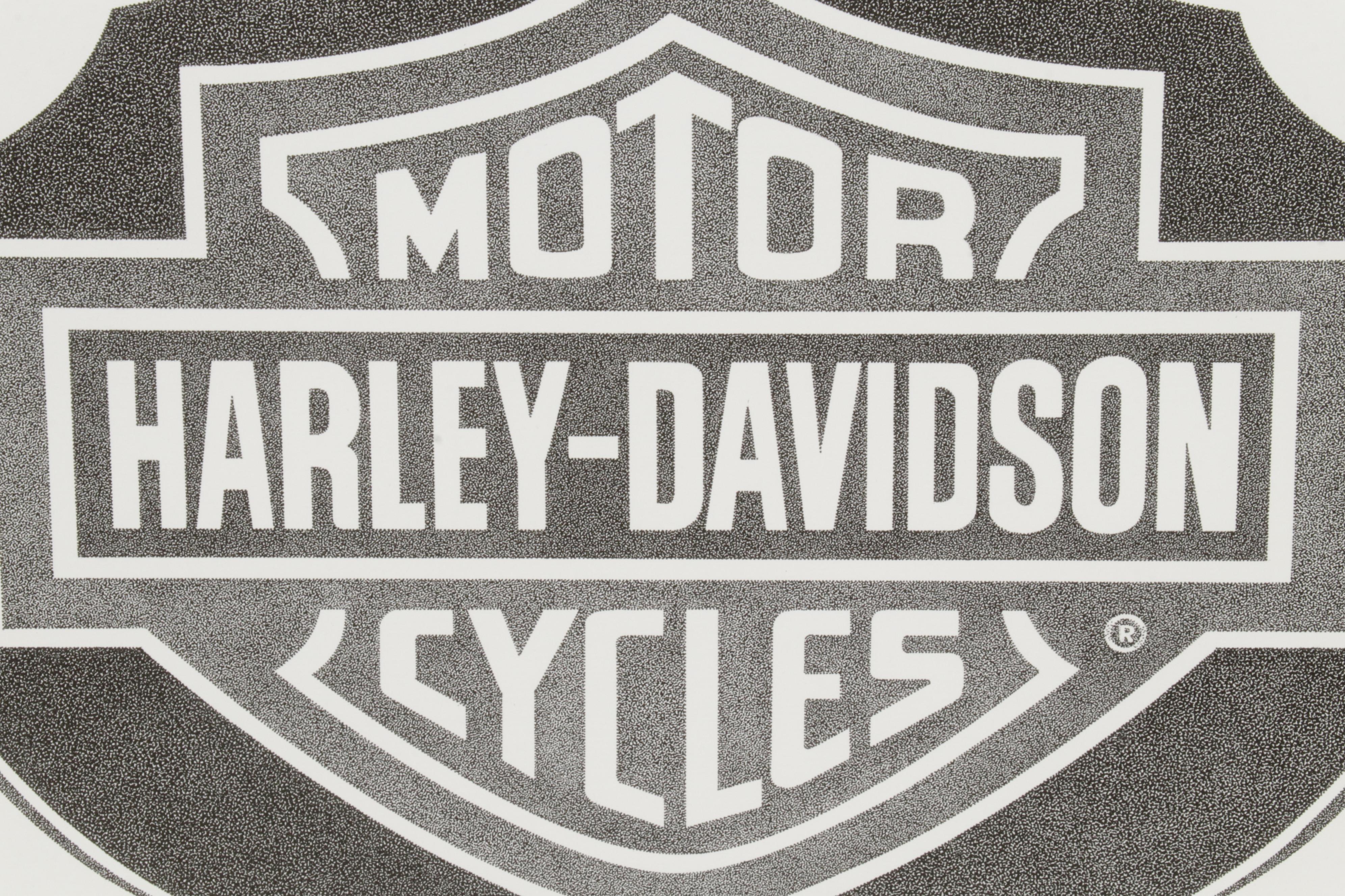 Harley-Davidson Giclée After Dennis Jackson "100th Anniversary Logo"