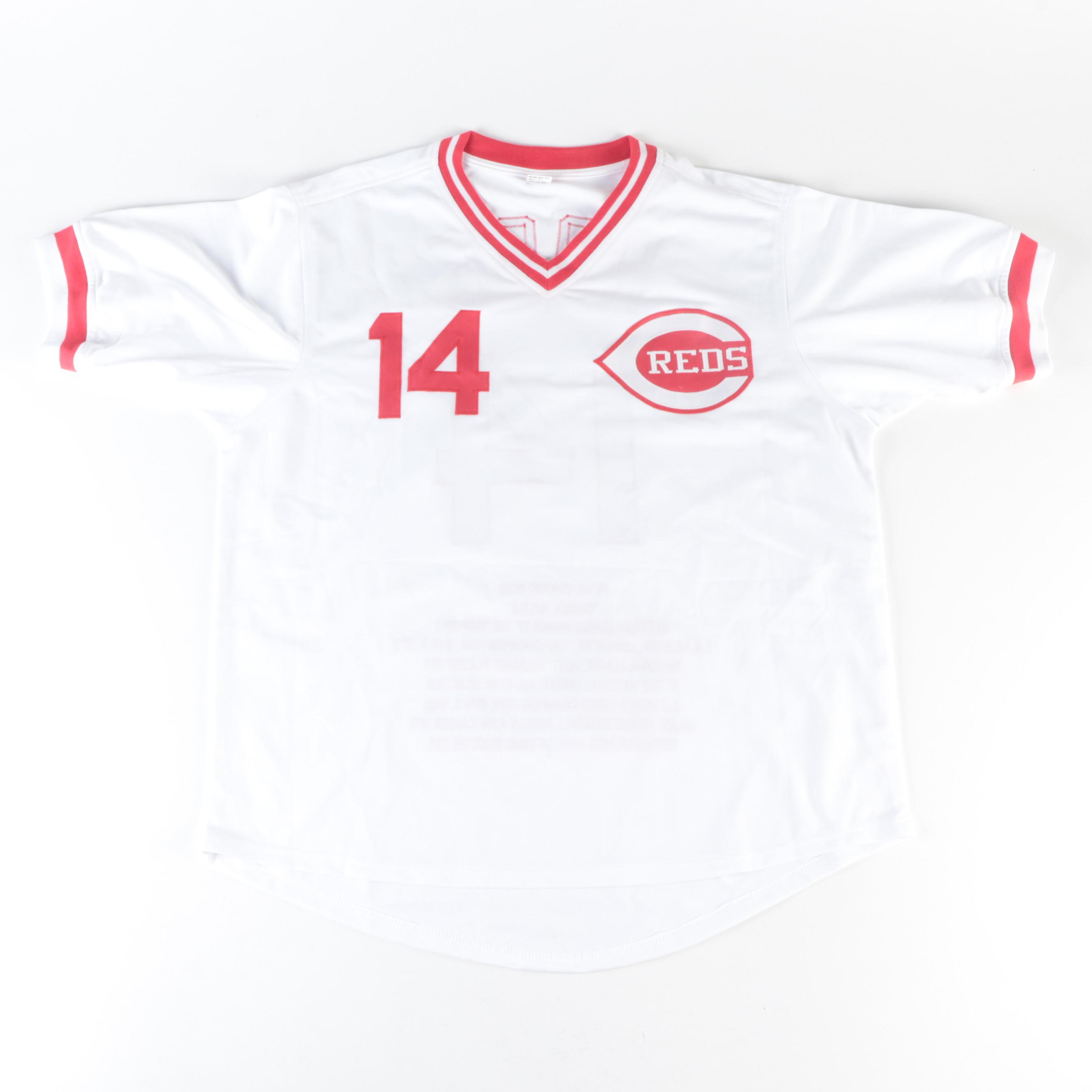 Cincinnati Reds Pete Rose Signed Career Stats Baseball Jersey