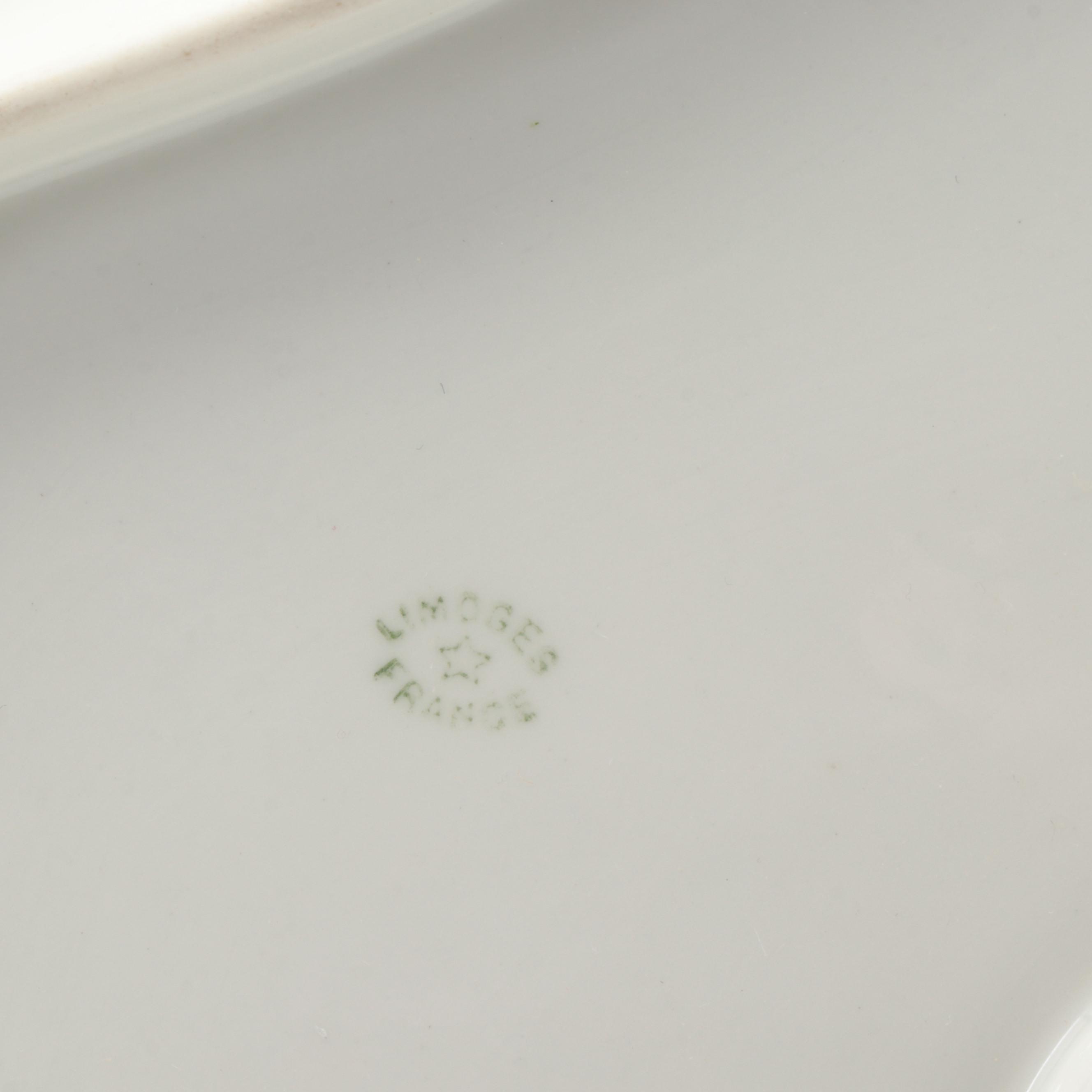 Haviland & Co. Limoges Pink Spray Porcelain Oval Platter