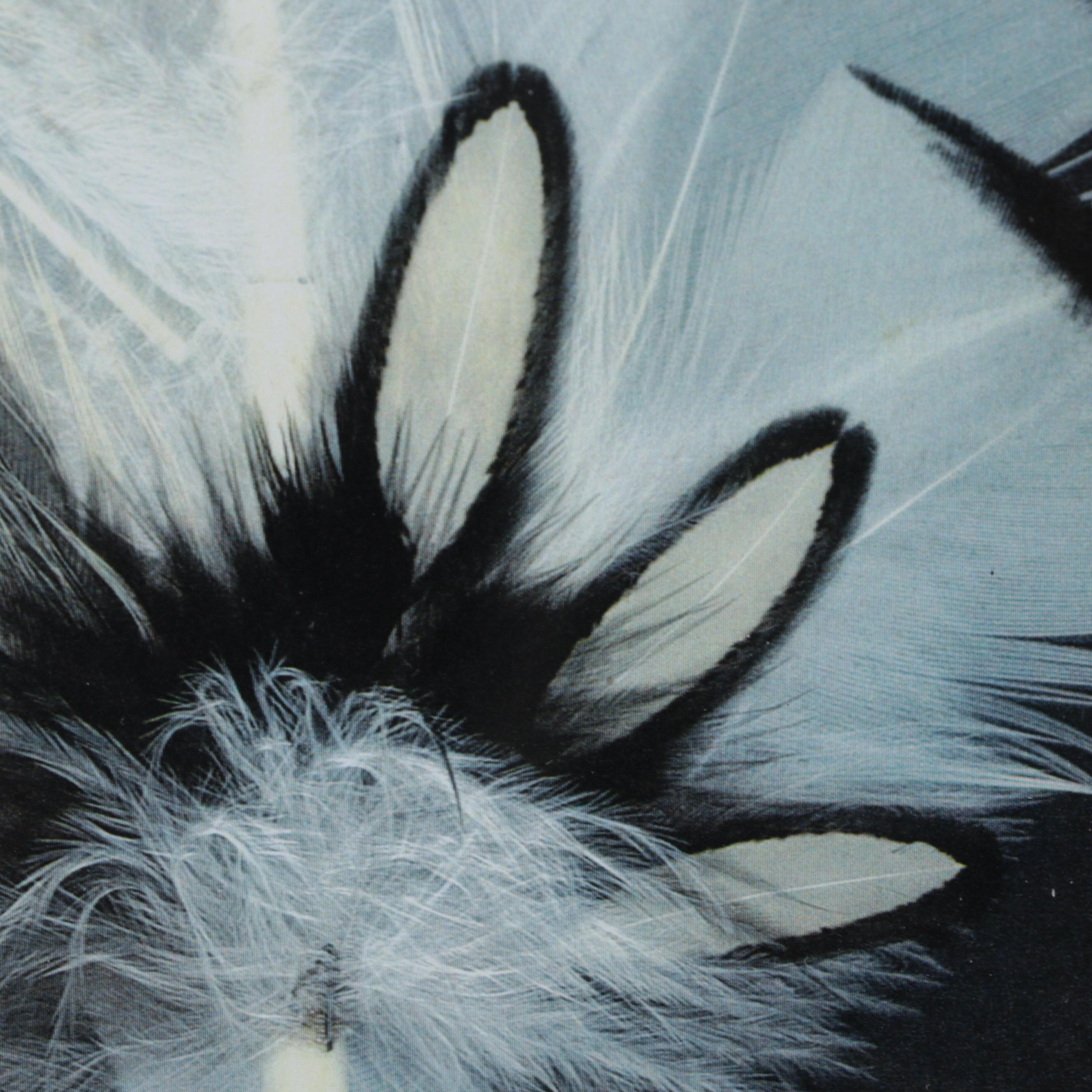 Electrophotograph After Janet LeRoy "Buffalo Spirit," Circa 1999