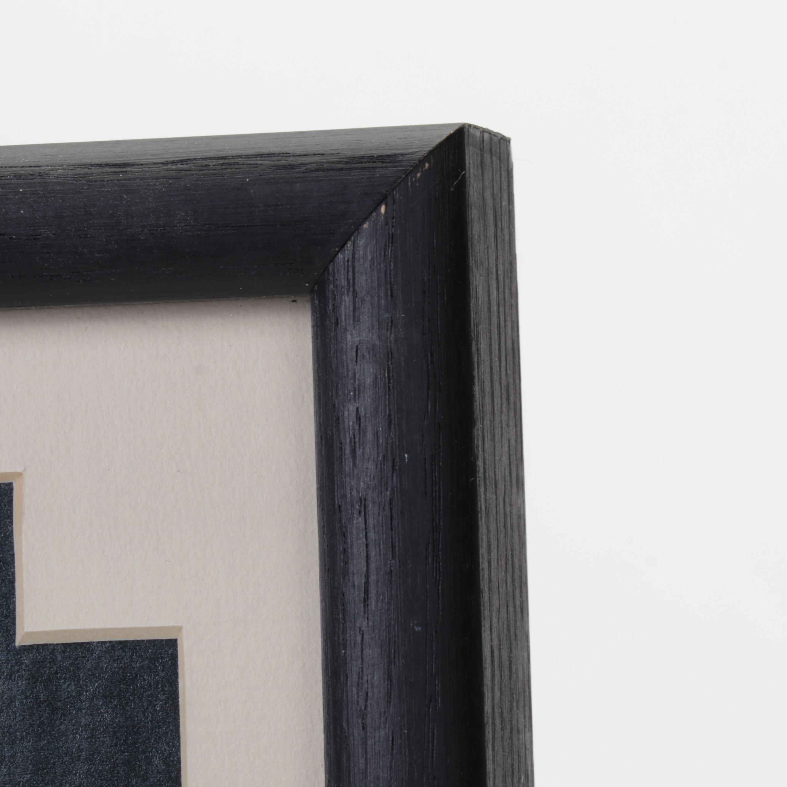 Electrophotograph After Janet LeRoy "Buffalo Spirit," Circa 1999