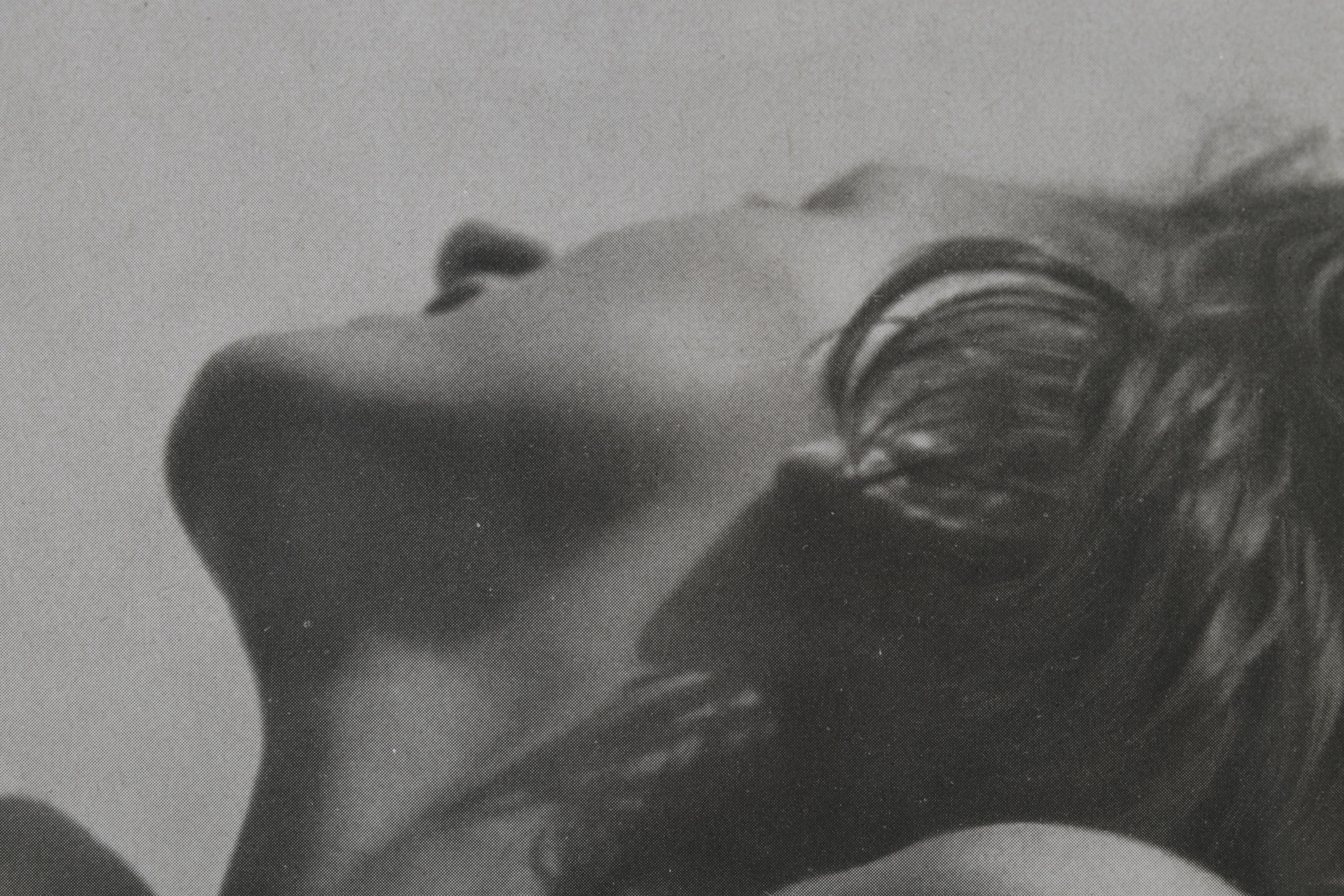 Max Rothkegel Nude Portrait Halftone From "Das Deutsche Aktwerk," Circa 1940