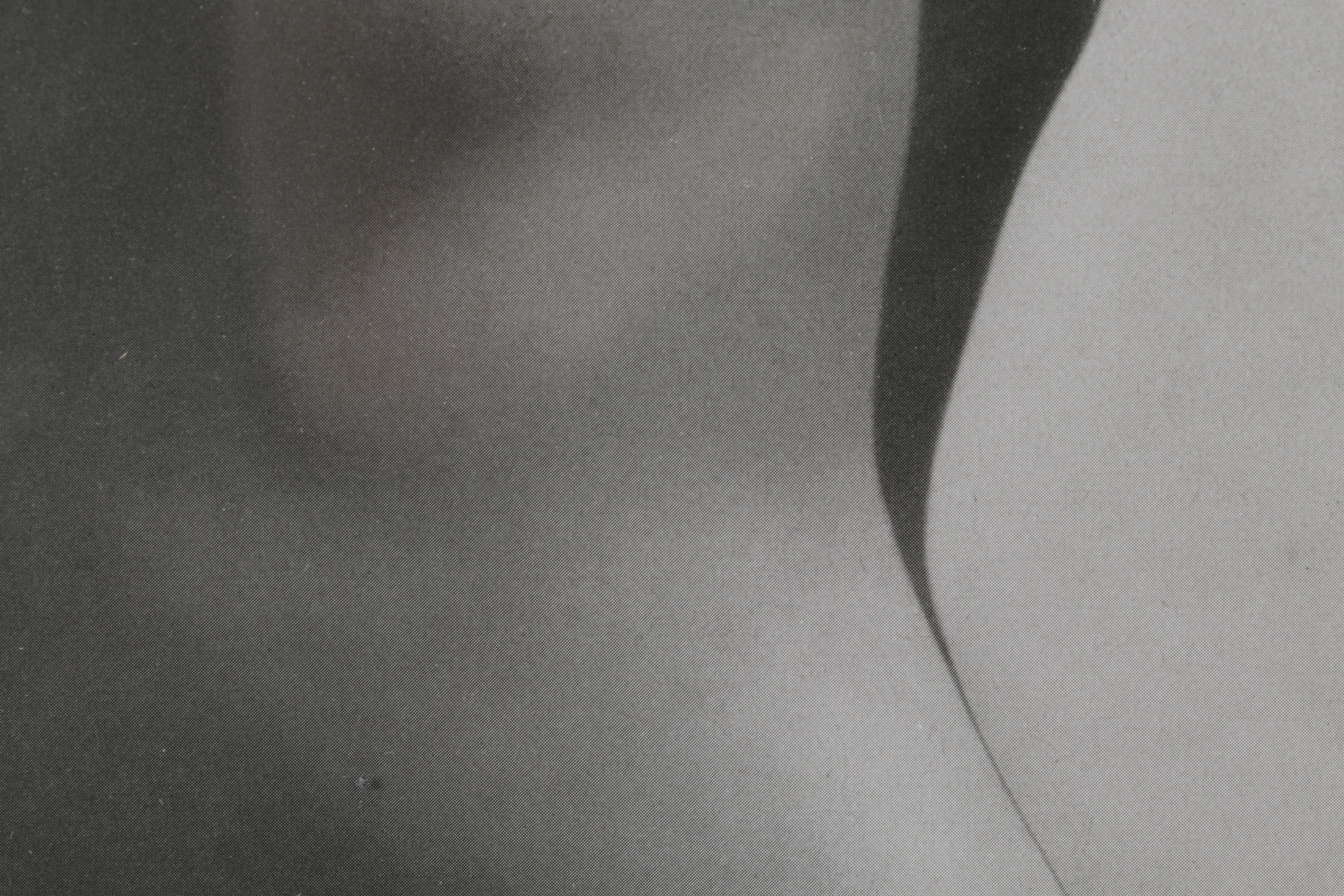 Max Rothkegel Nude Portrait Halftone From "Das Deutsche Aktwerk," Circa 1940