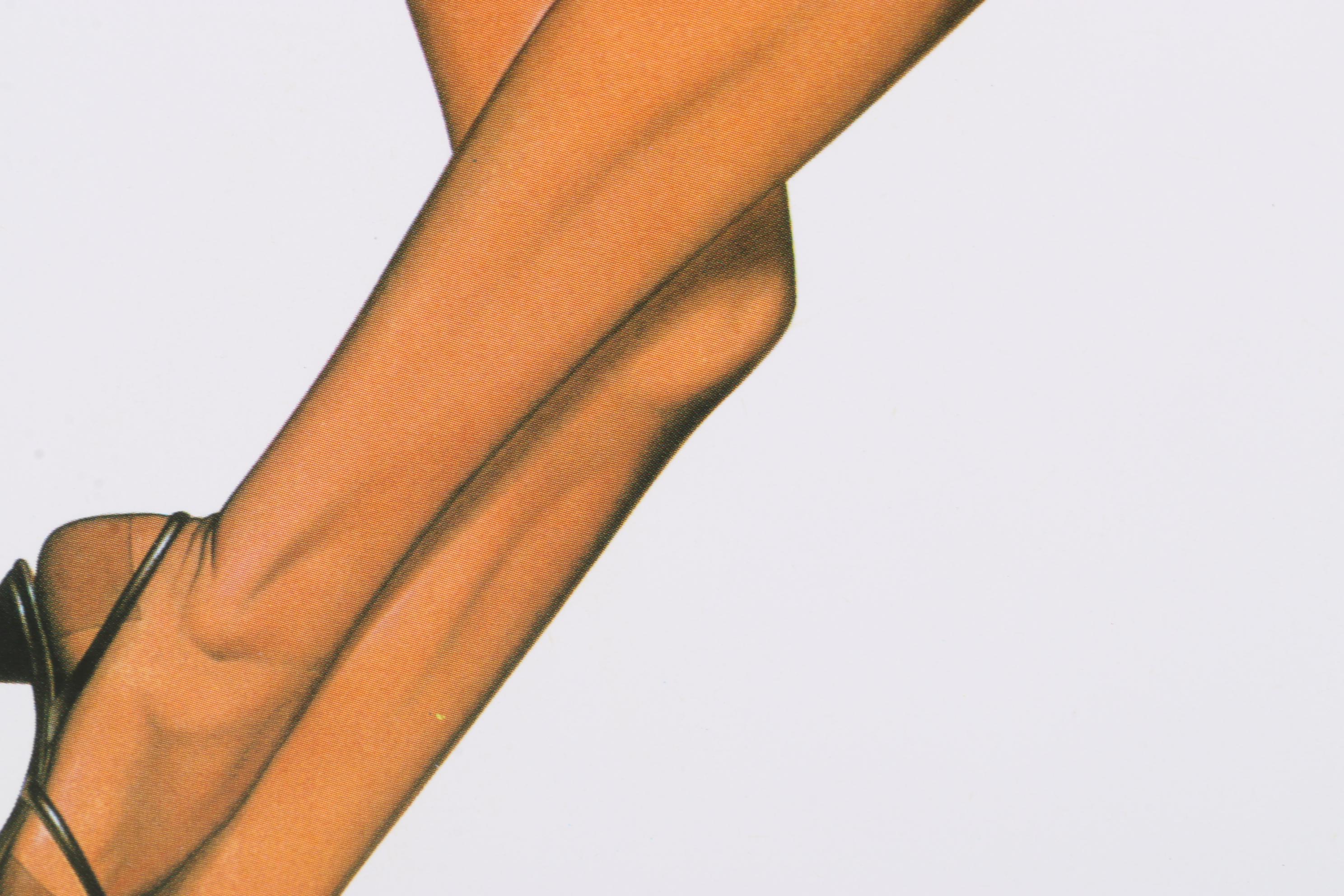 Sorayama Hajime Cheesecake Portrait Offset Lithograph From "Pin-Up," 2000