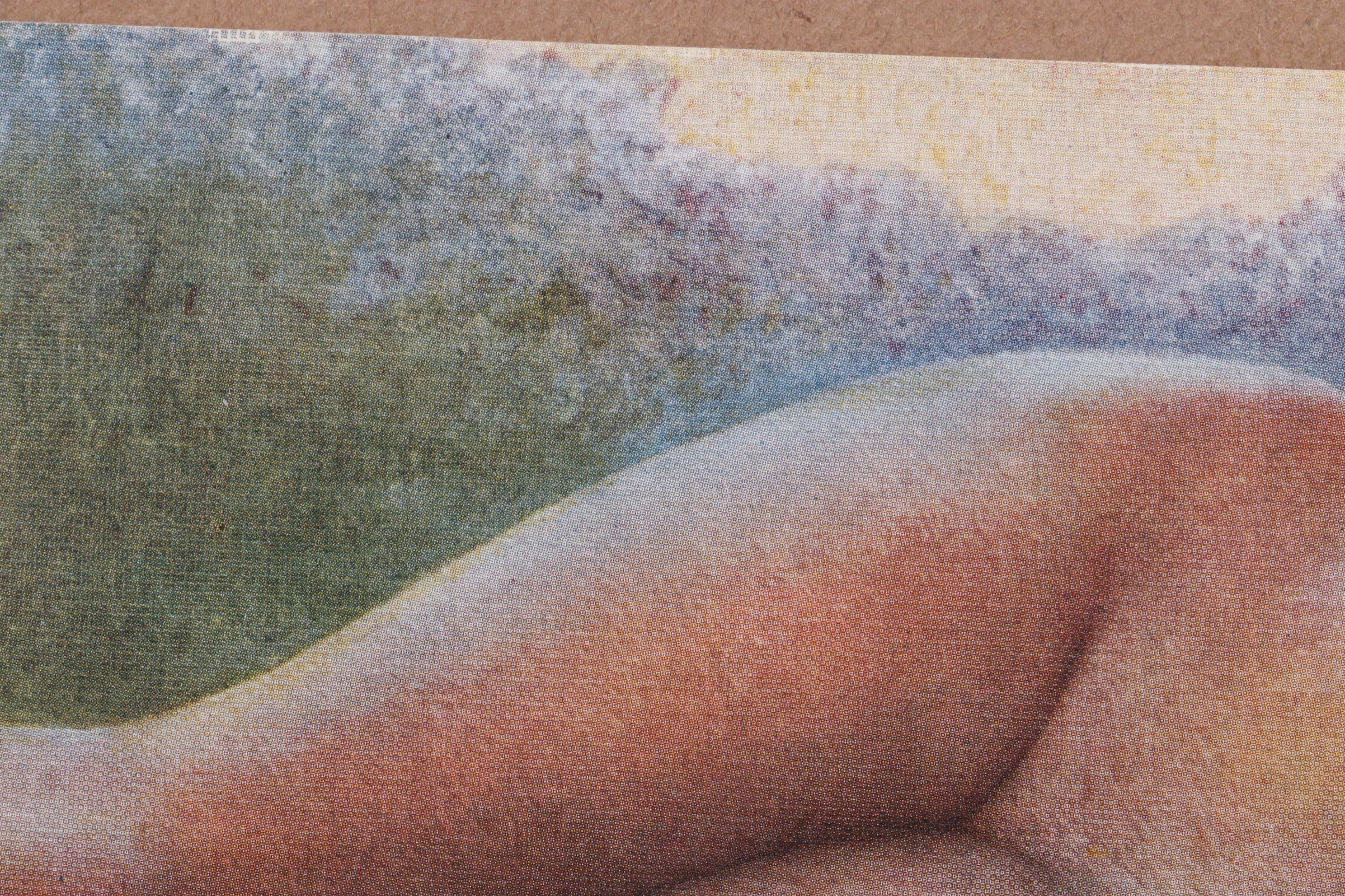 Offset Lithograph After Charles Moulin From "La Beauté de la Femme Dans l'Art"