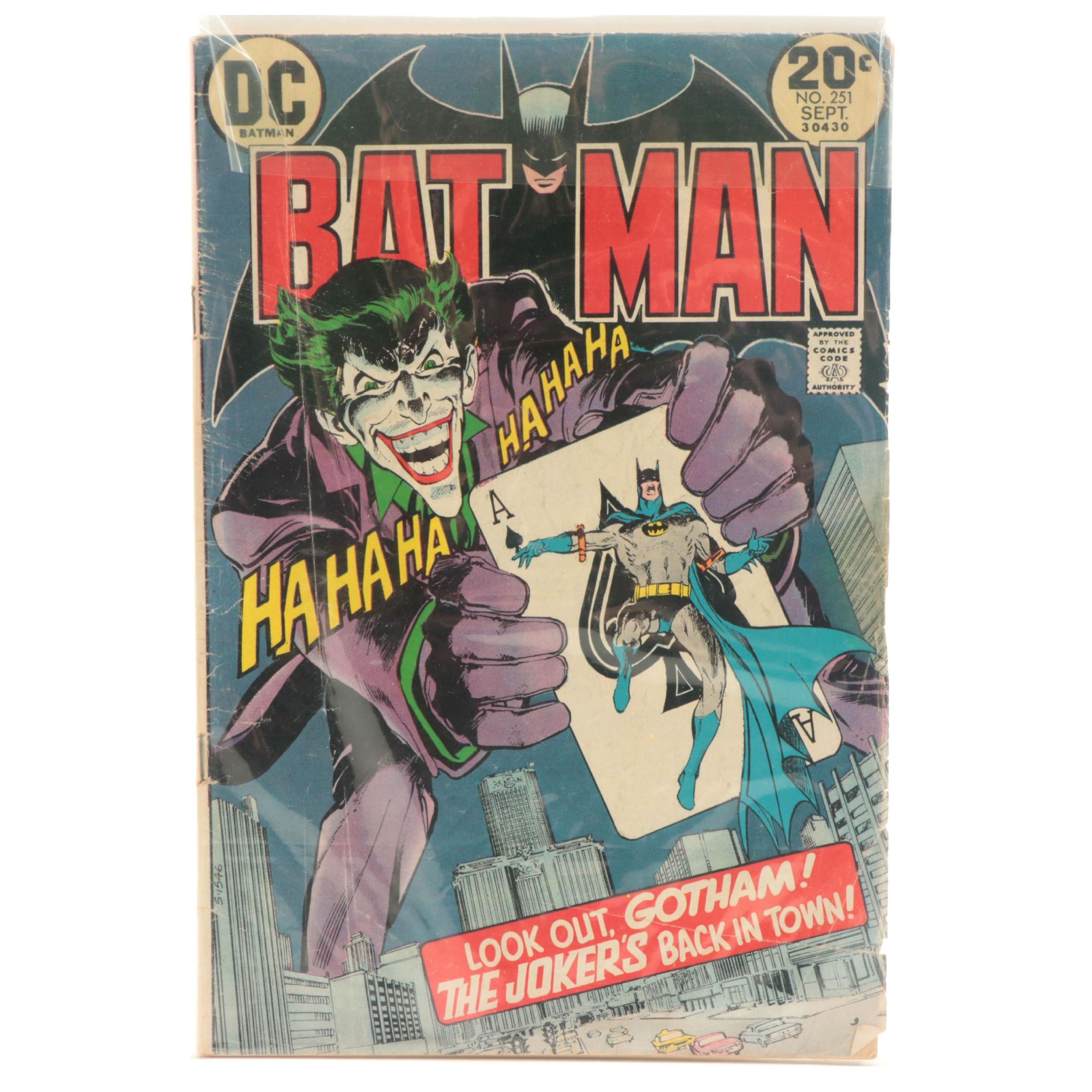 DC Bronze Age "Batman" Vol. 1 #251 Comic Book, 1973