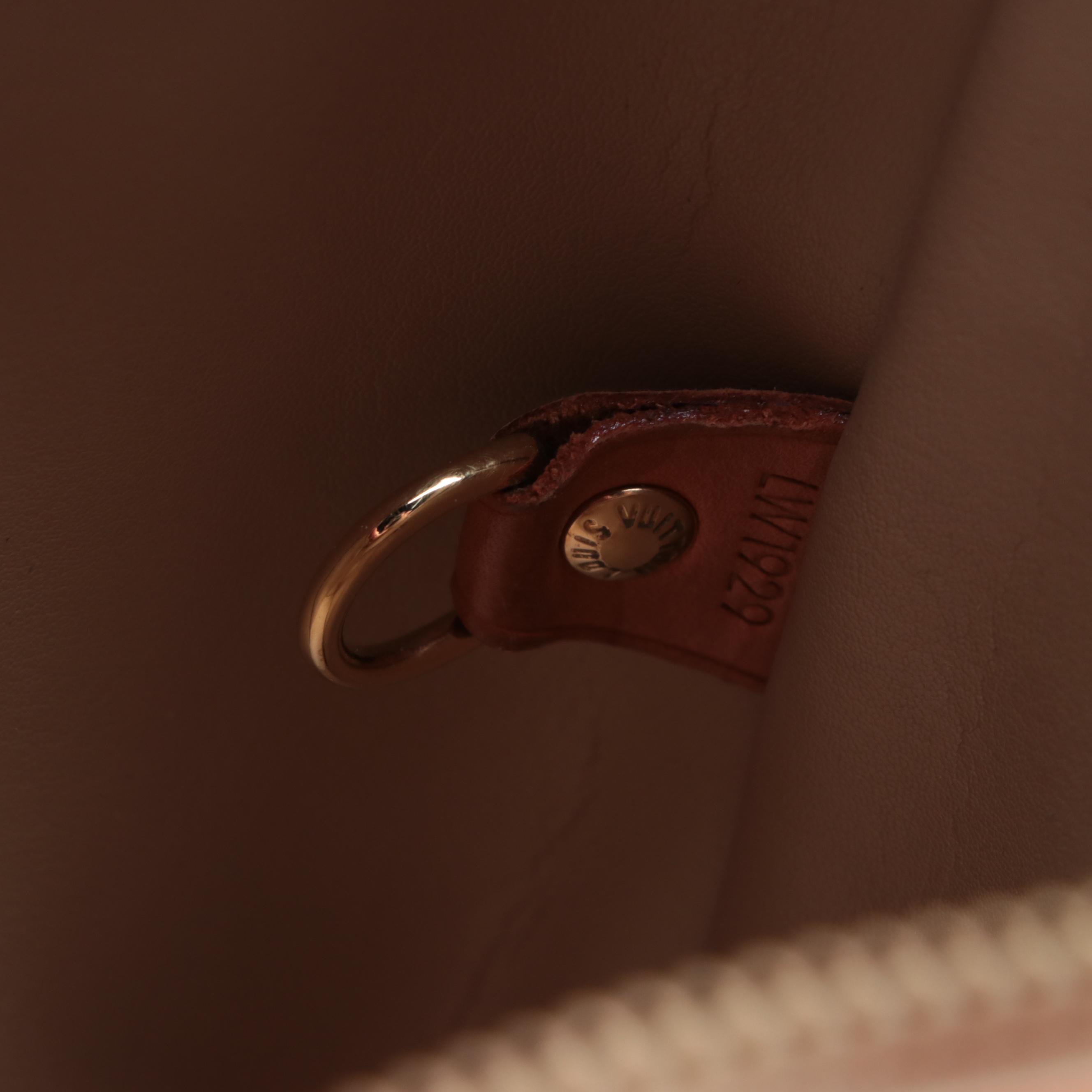 Louis Vuitton Houston Bag in Monogram Vernis with Vachetta Leather