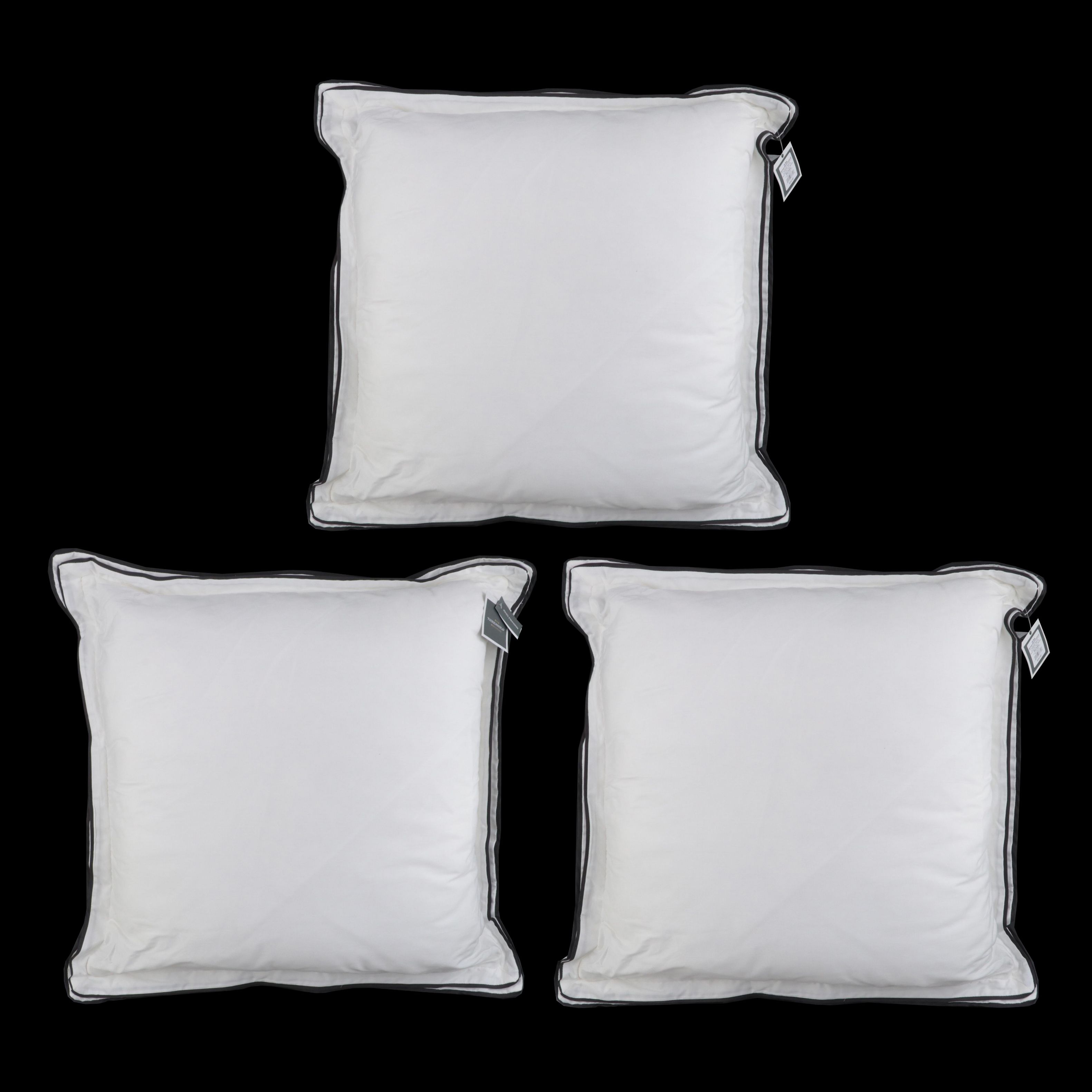 Three Threshold Signature Black Border Euro Bed Pillows
