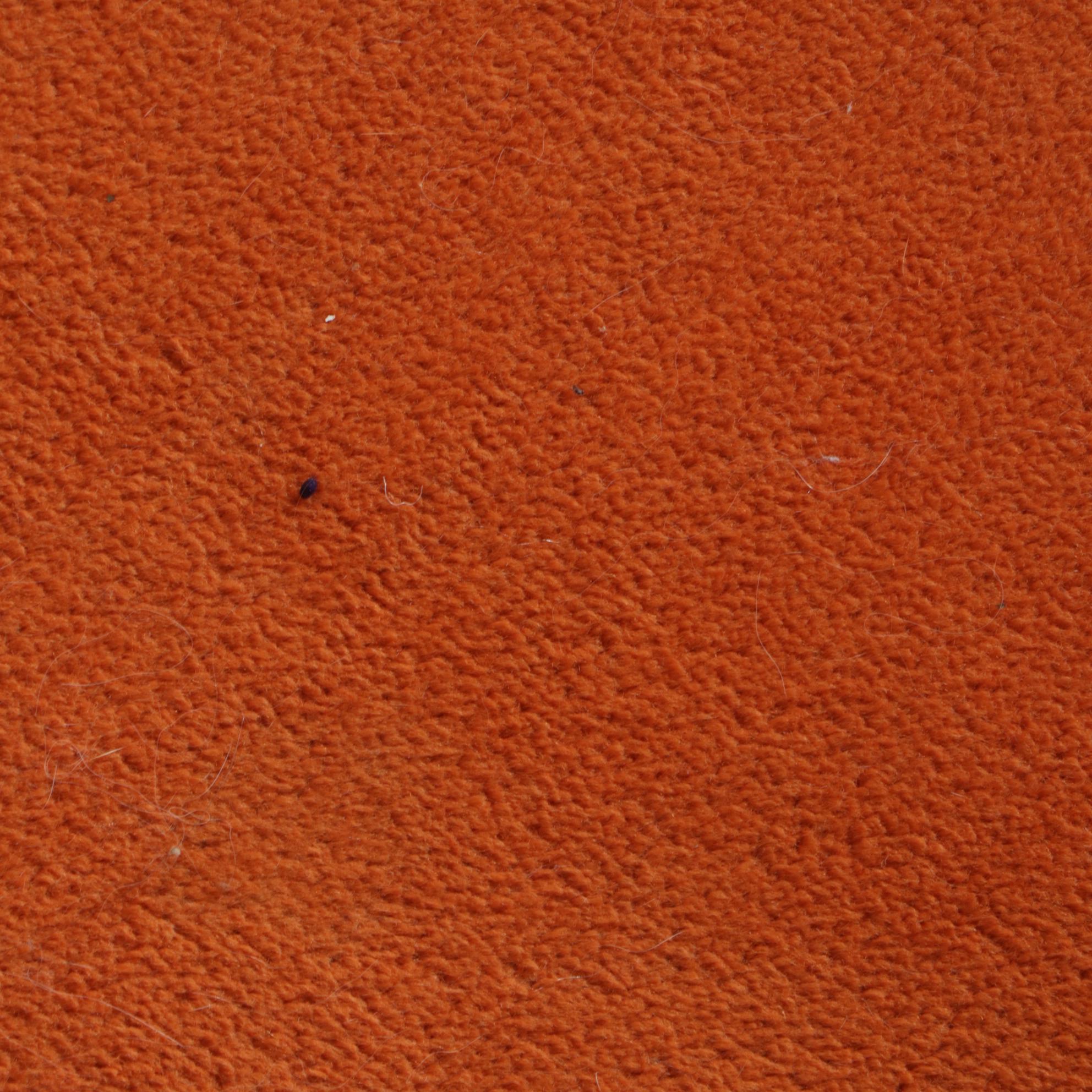 Barrel Back Armchair with Cane Sides, Mid to Late 20th Century