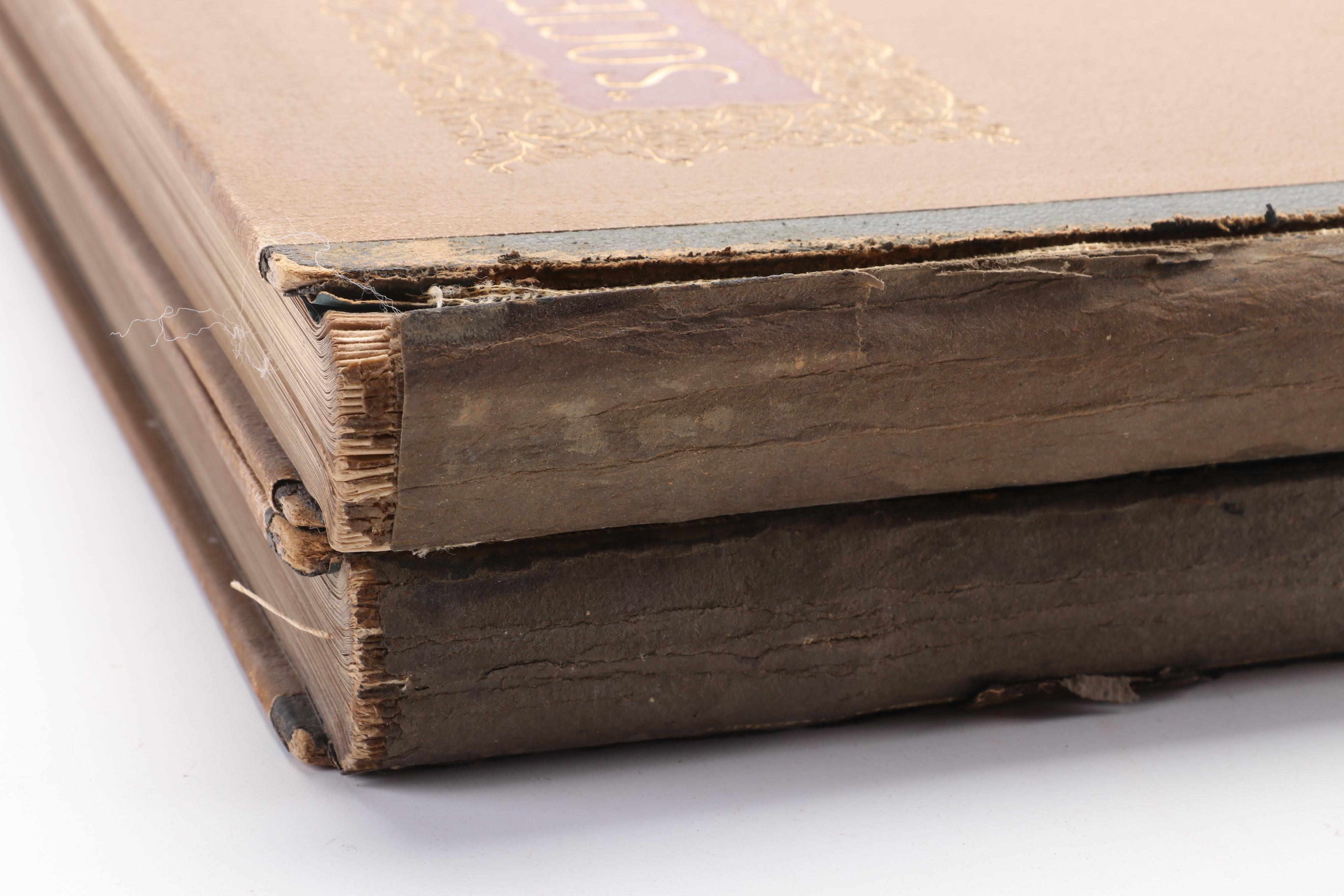 "Society Pictures" Two-Volume Set by George du Maurier, Late 19th Century