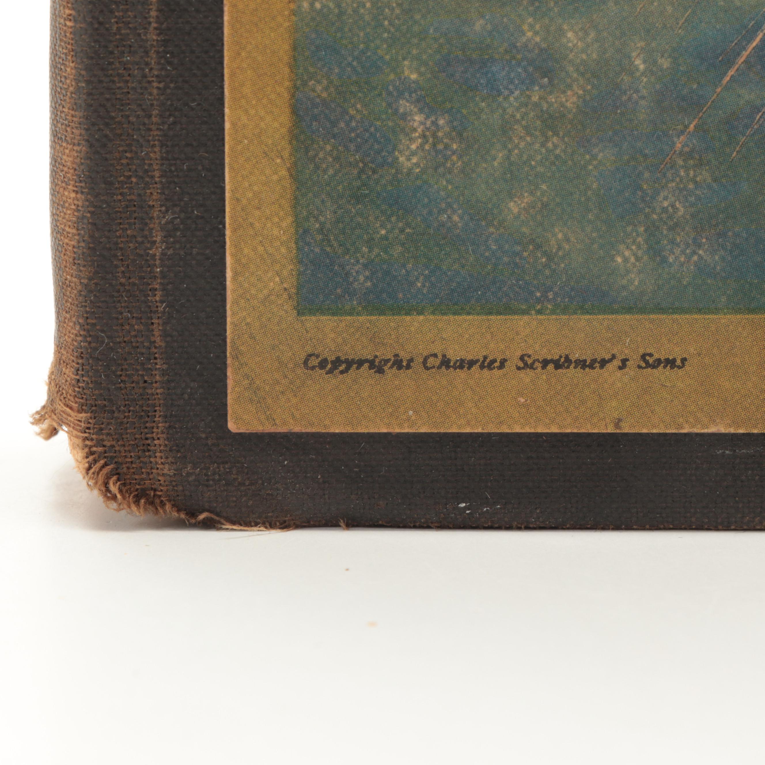 N. C. Wyeth Illustrated "The Mysterious Island" by Jules Verne, 1919