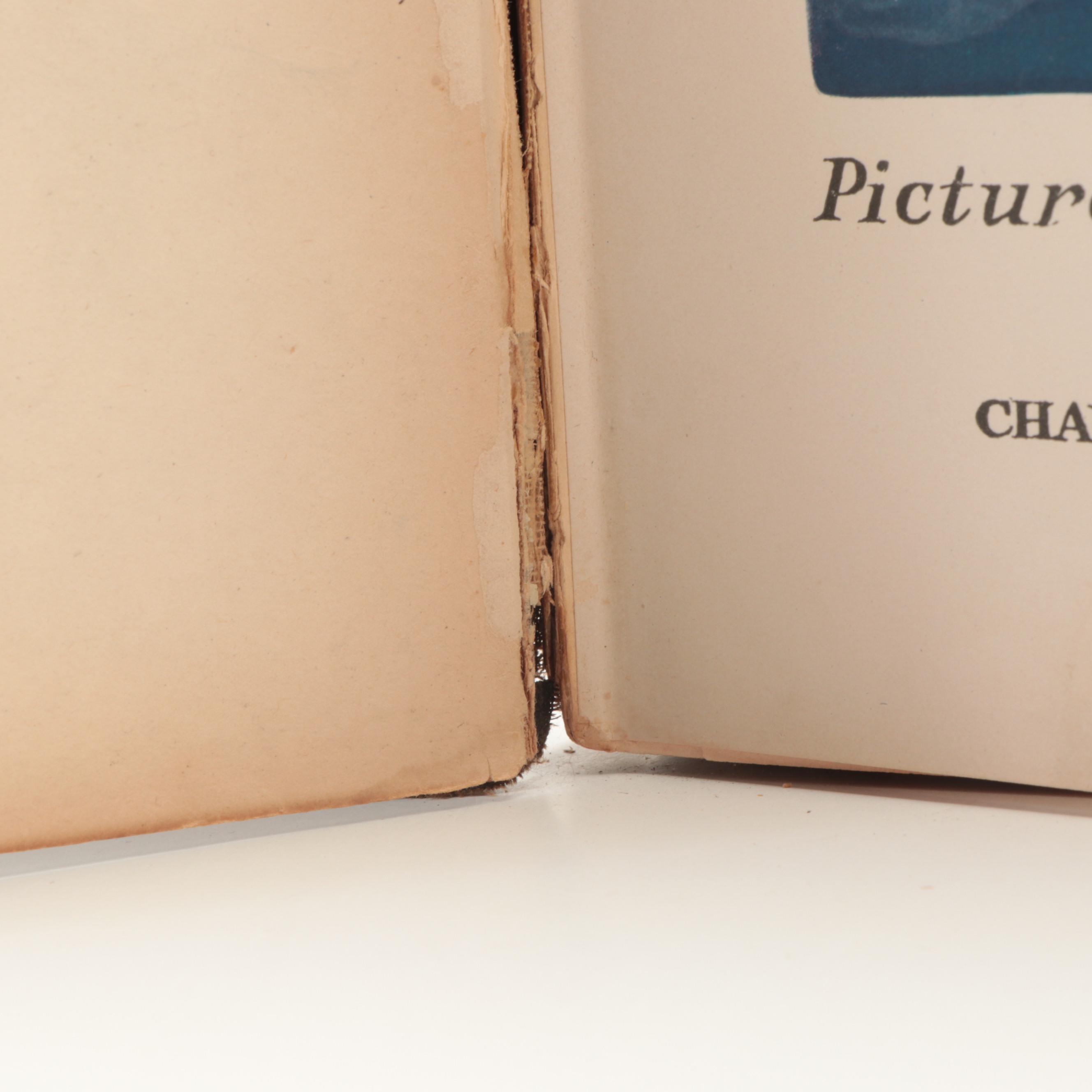 N. C. Wyeth Illustrated "The Mysterious Island" by Jules Verne, 1919