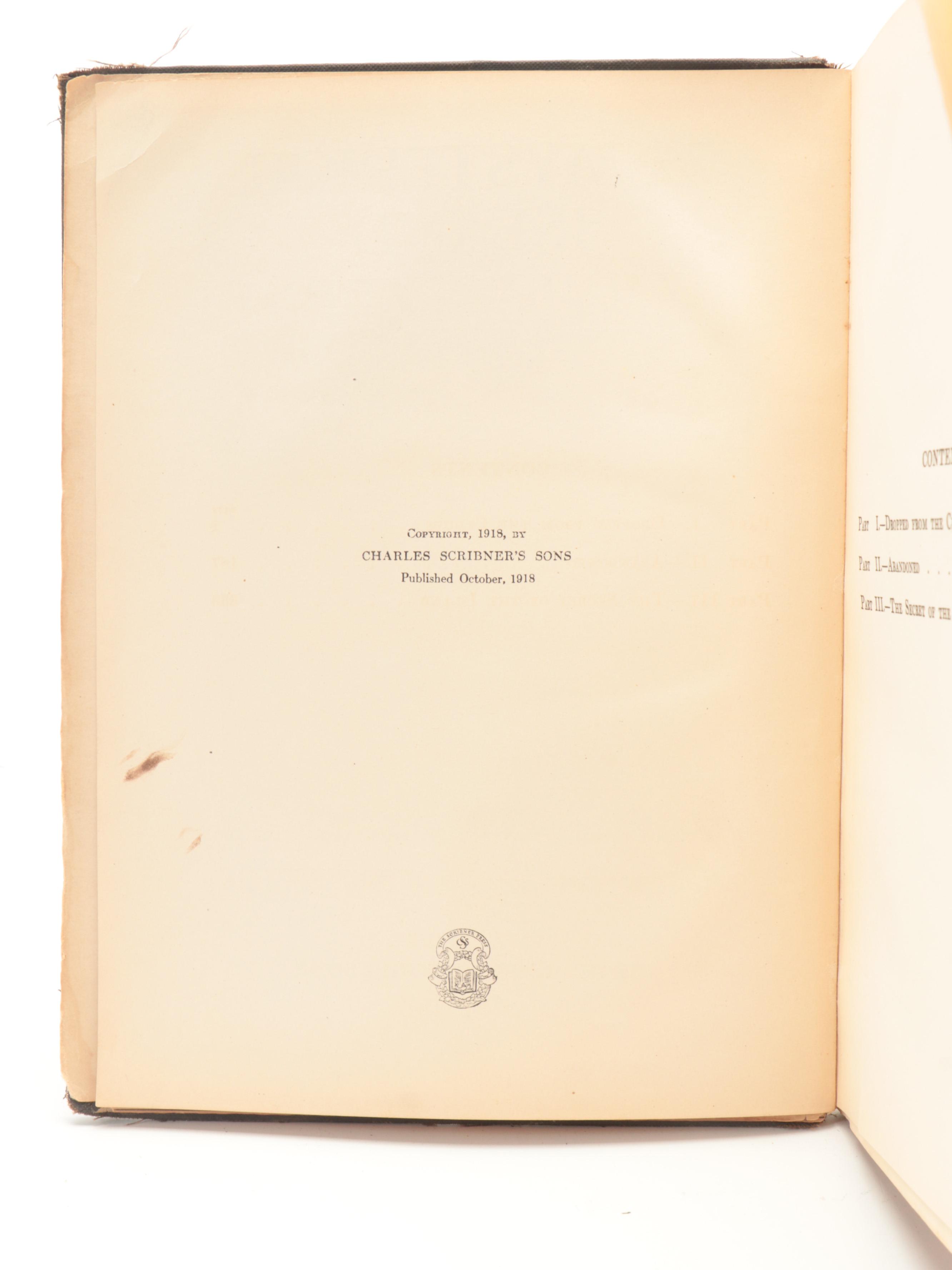 N. C. Wyeth Illustrated "The Mysterious Island" by Jules Verne, 1919