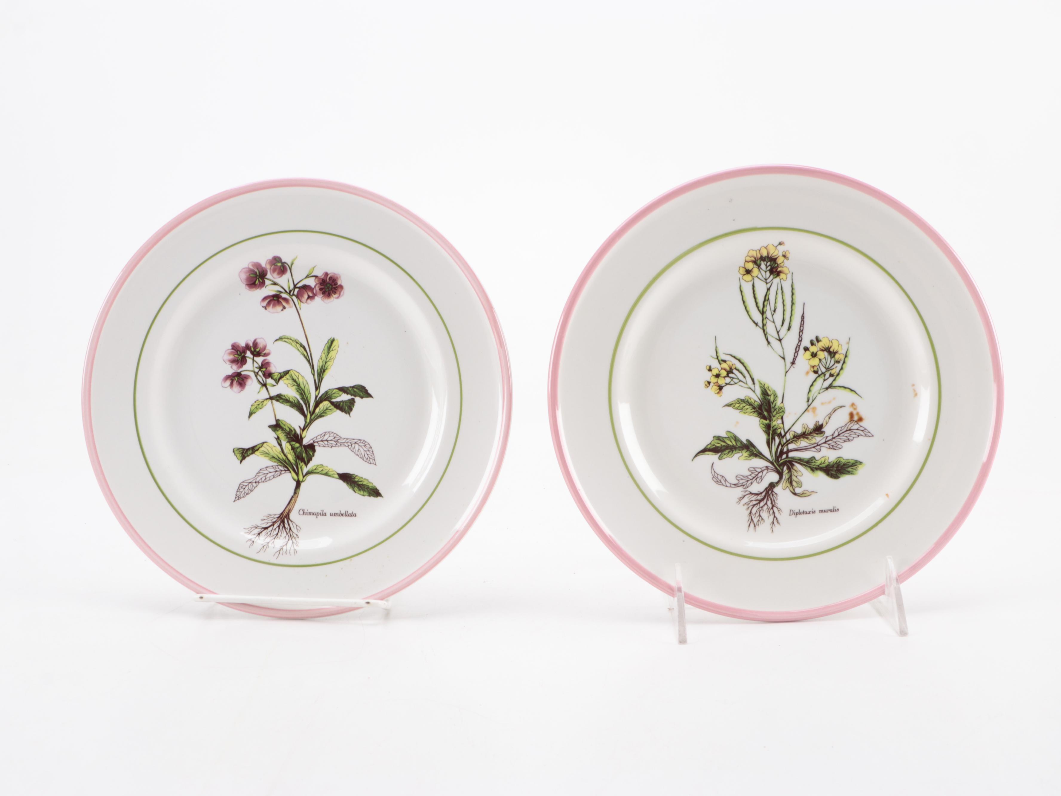 Italian Primula Pottery Botanical  Salad Plates