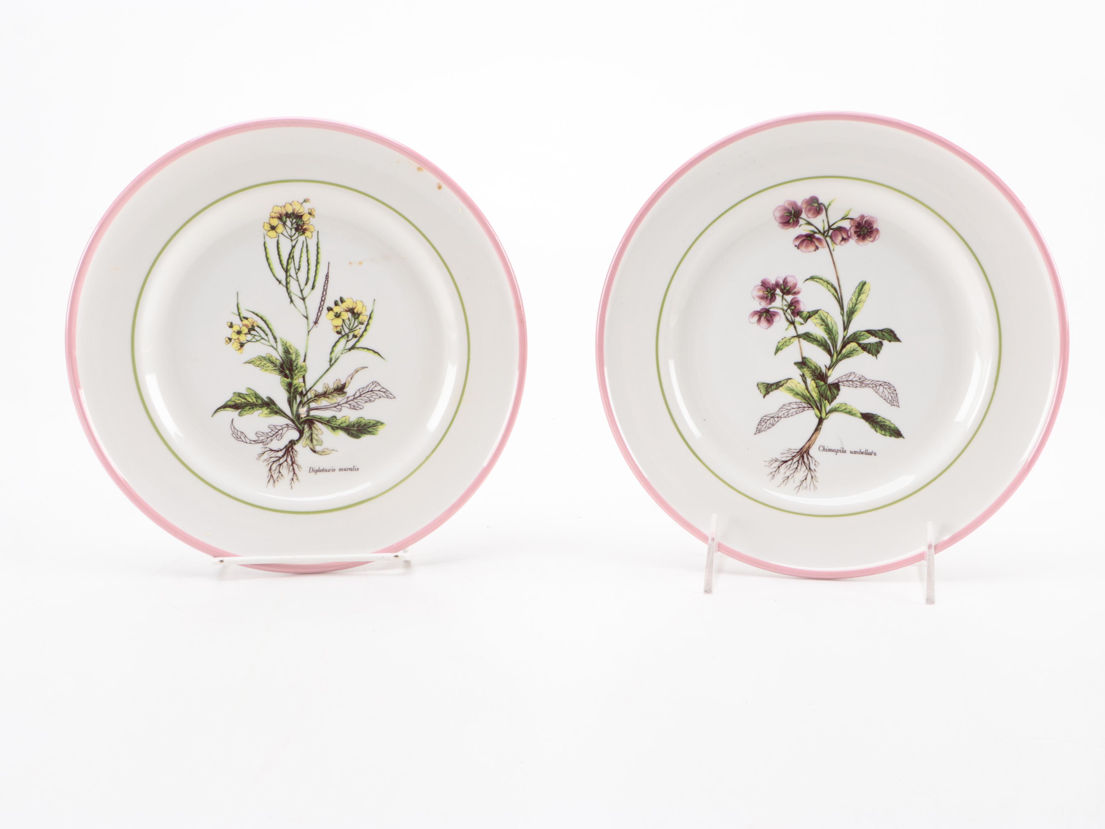 Italian Primula Pottery Botanical  Salad Plates
