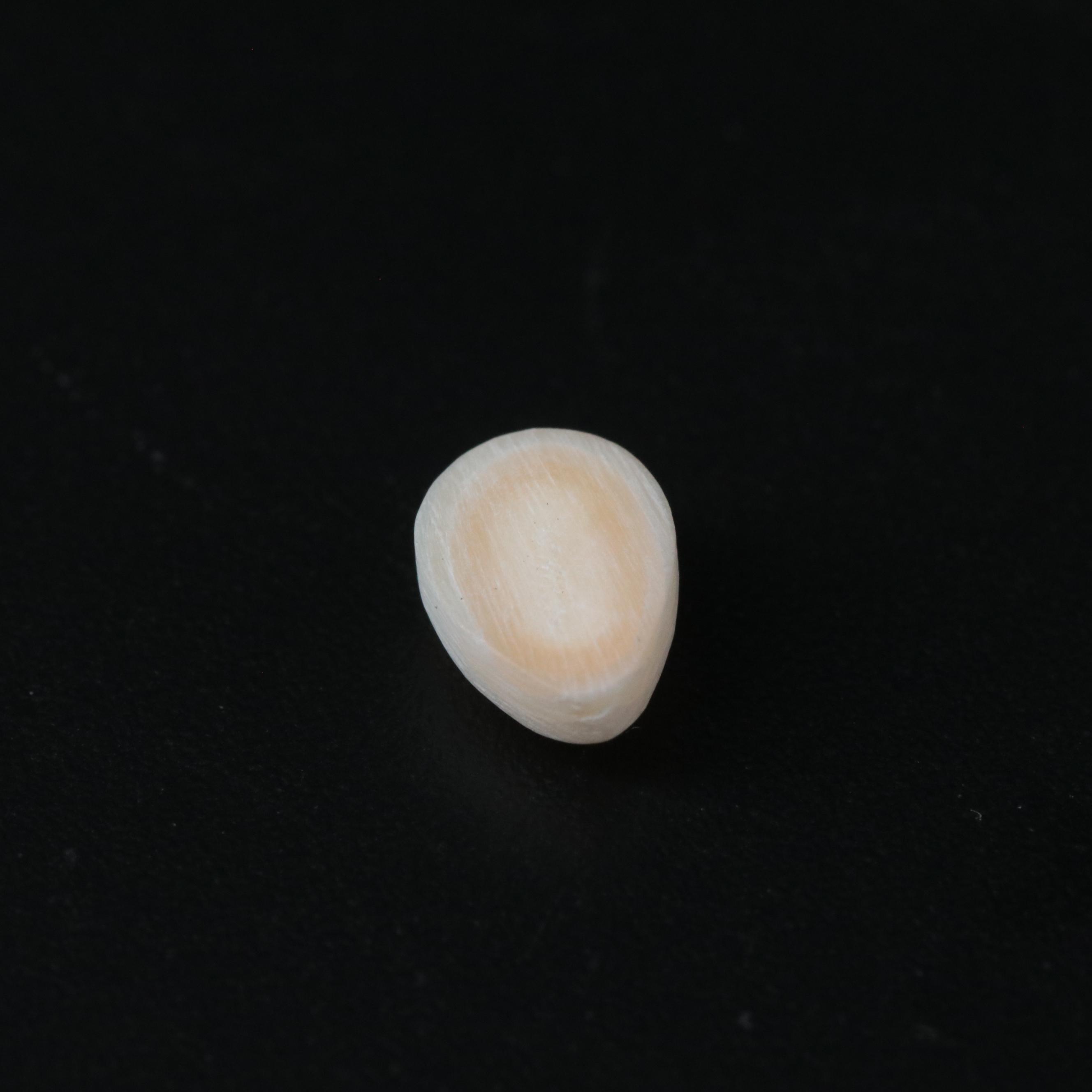 Loose 20.5 CTW Pearl