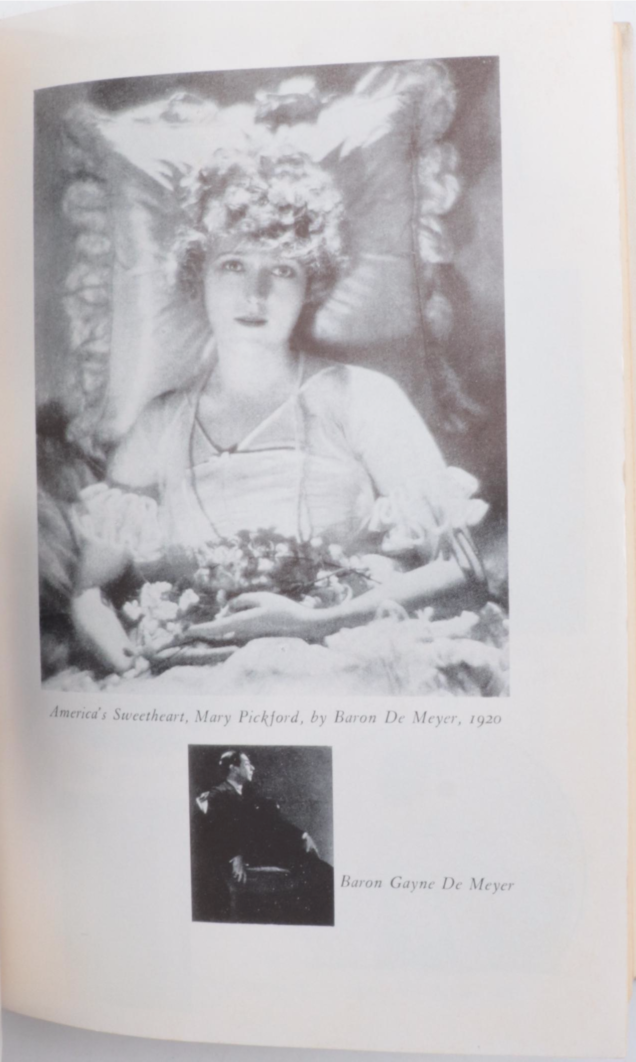 Double Signed First Edition "Always in Vogue" and More Fashion Icon Books