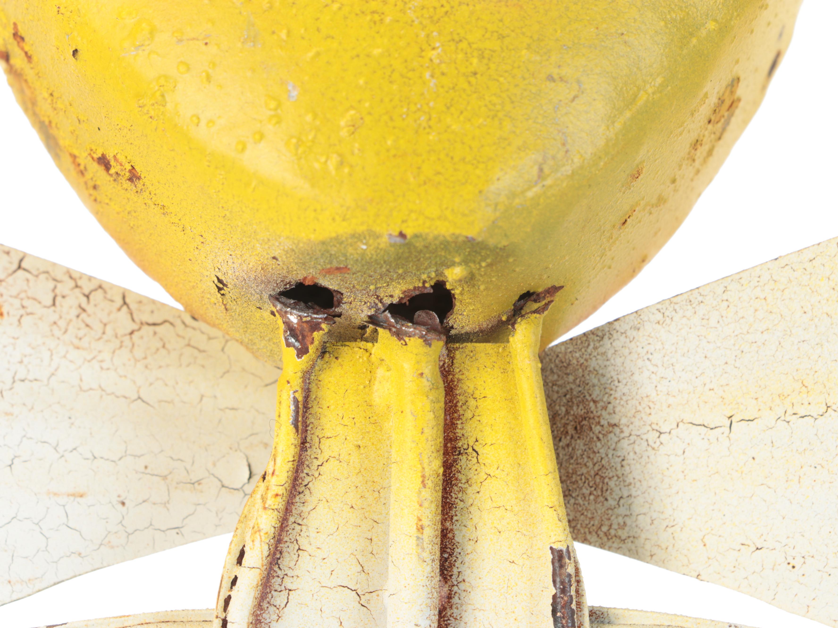 Skeleton Halloween Décor Collection