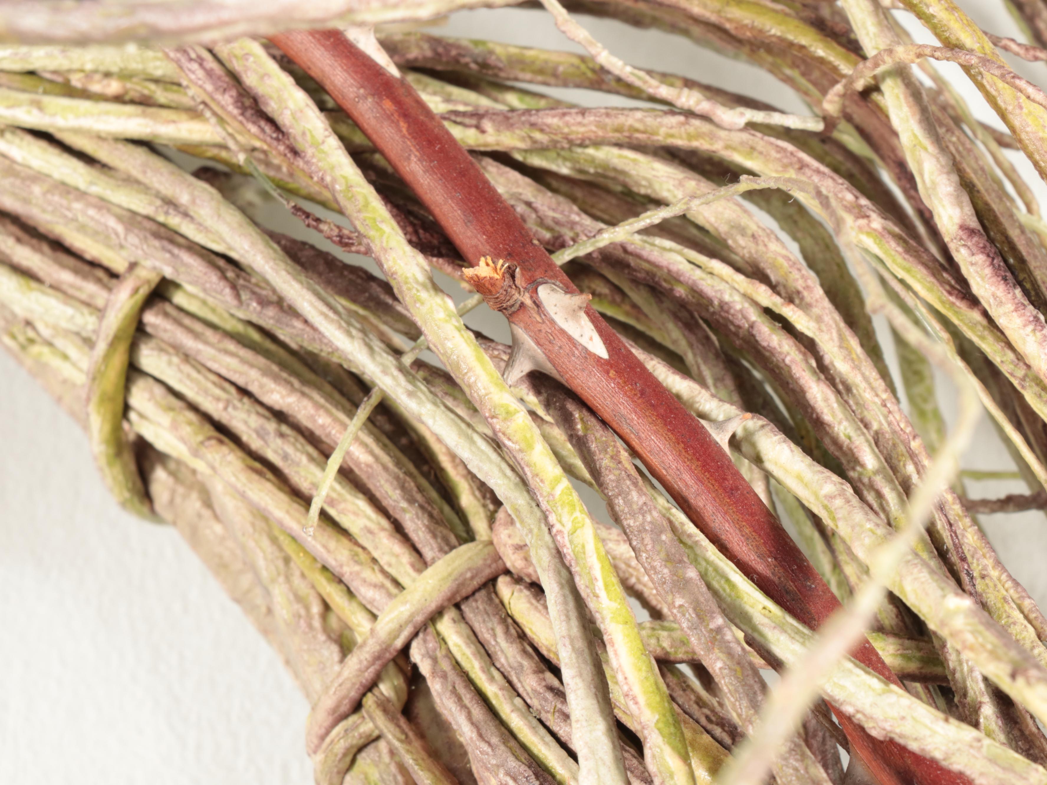 Multi-Seasonal Wreath Collection