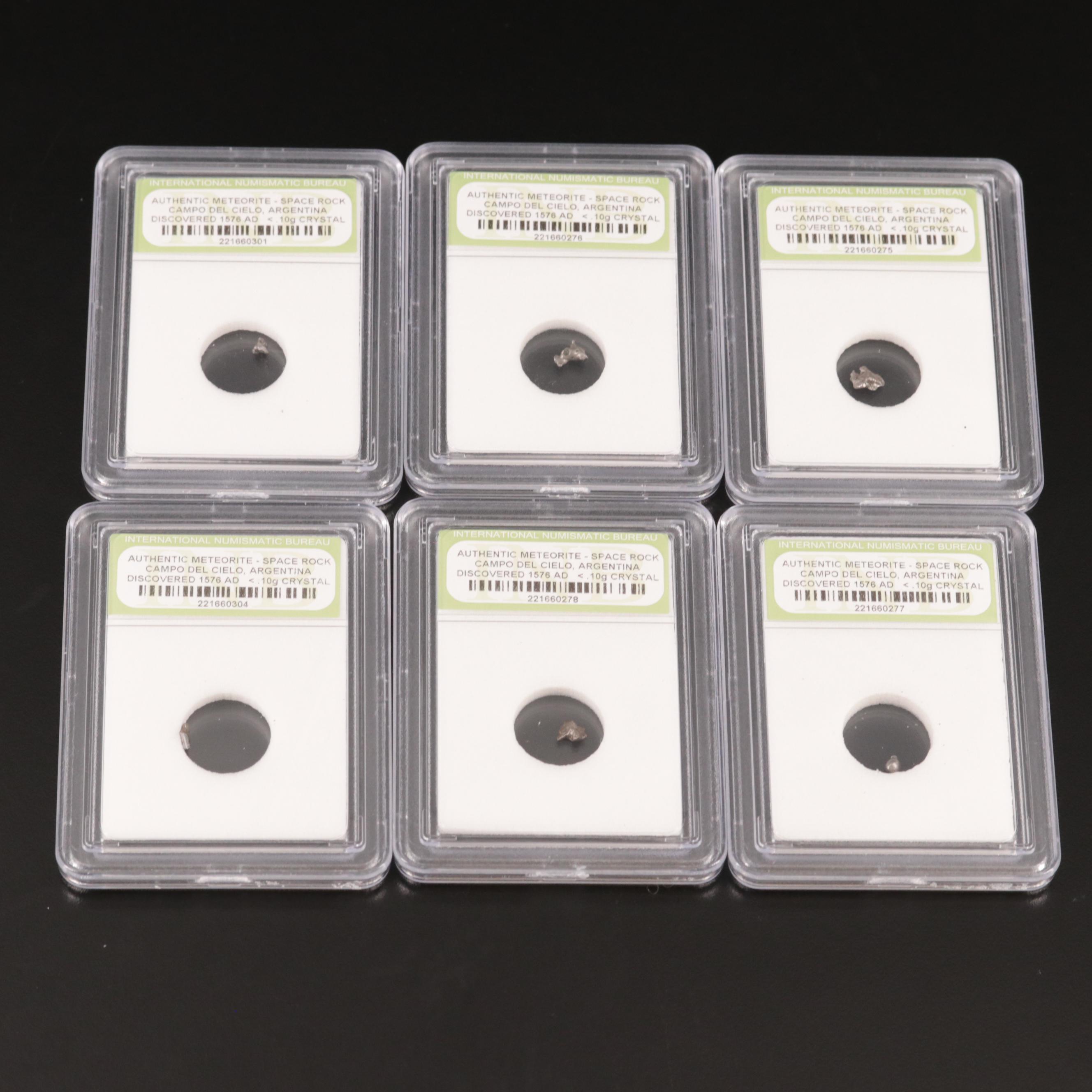 Group of Twenty-Five Meteorites from the Campo Del Cielo Region of Argentina