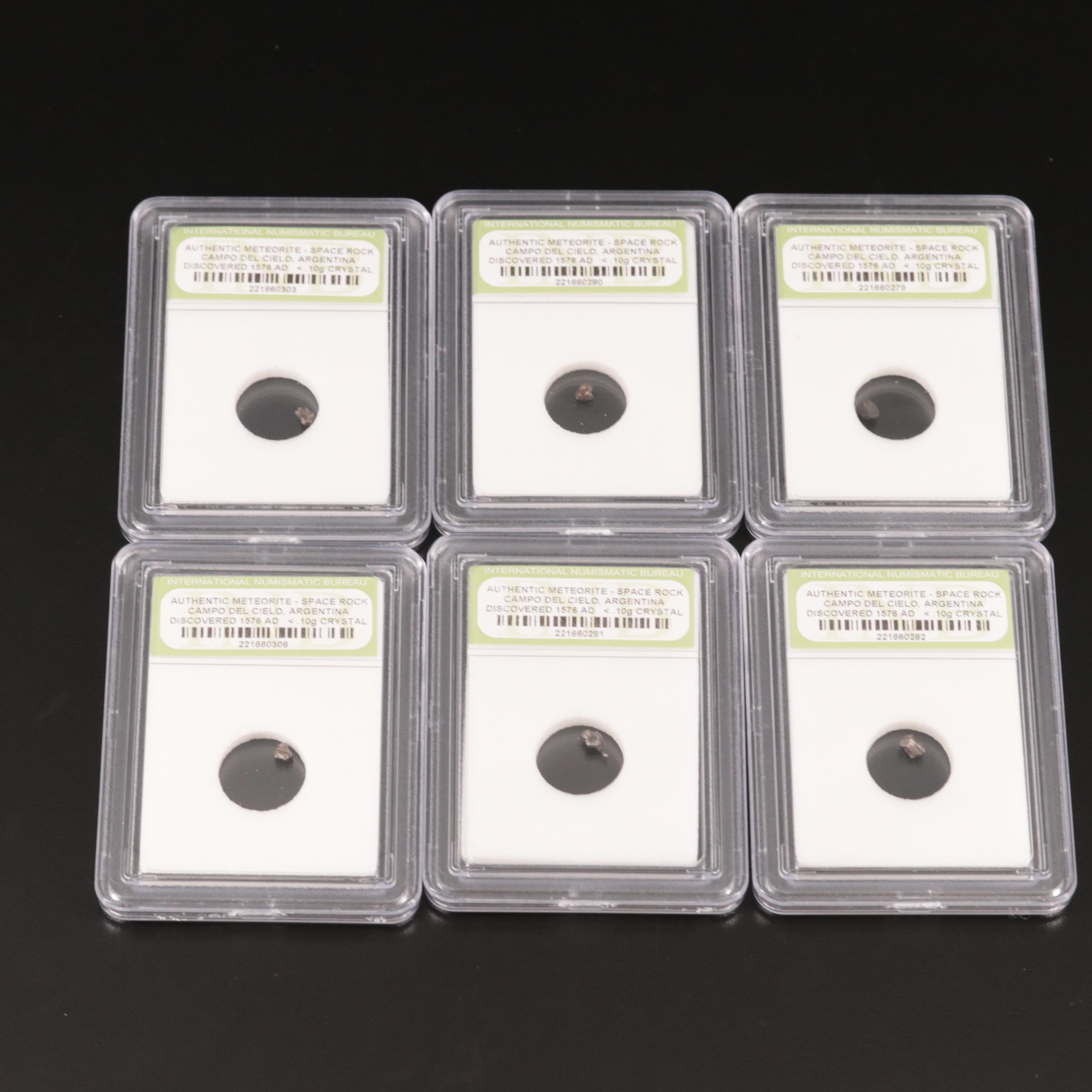 Group of Twenty-Five Meteorites from the Campo Del Cielo Region of Argentina