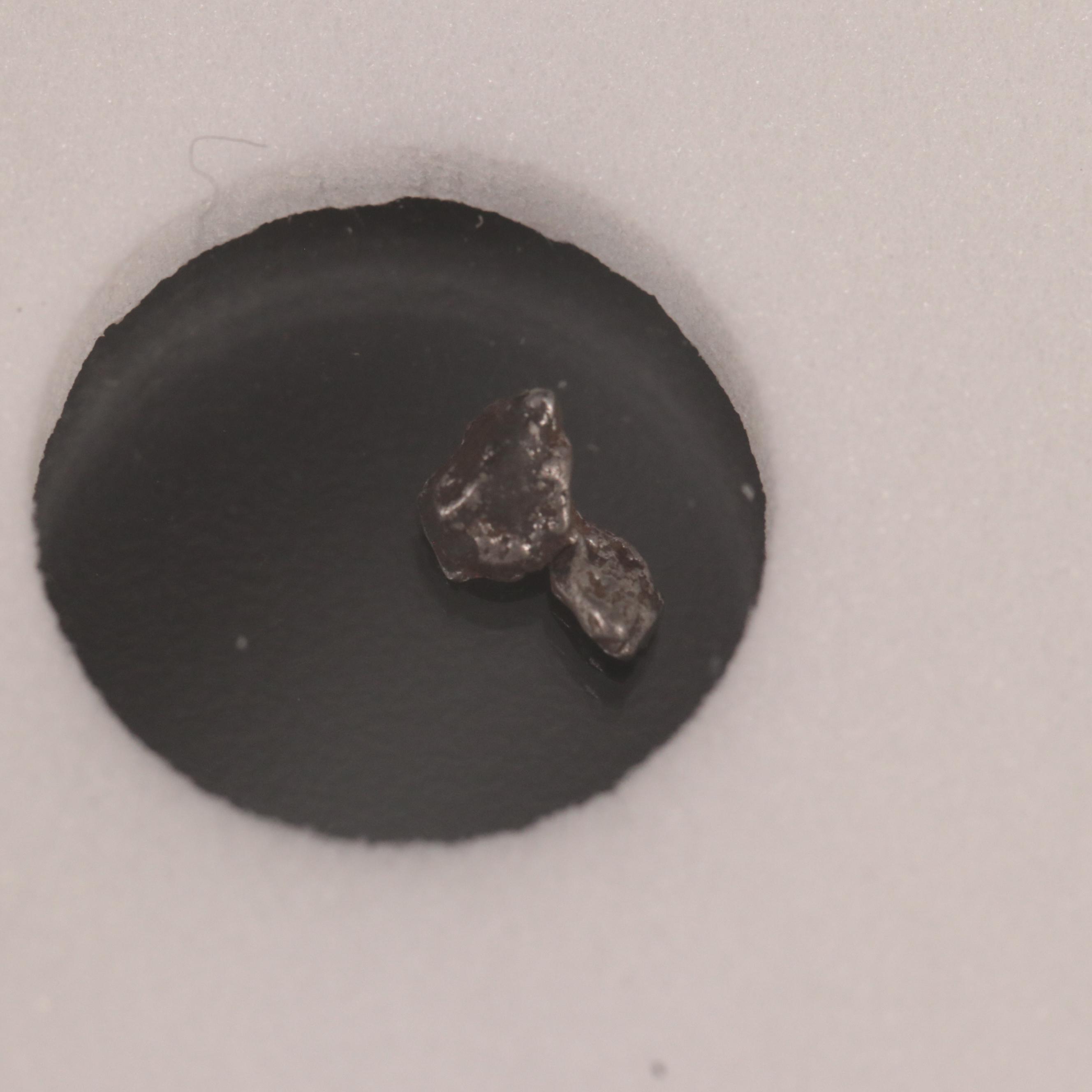 Group of Twenty-Five Meteorites from the Campo Del Cielo Region of Argentina