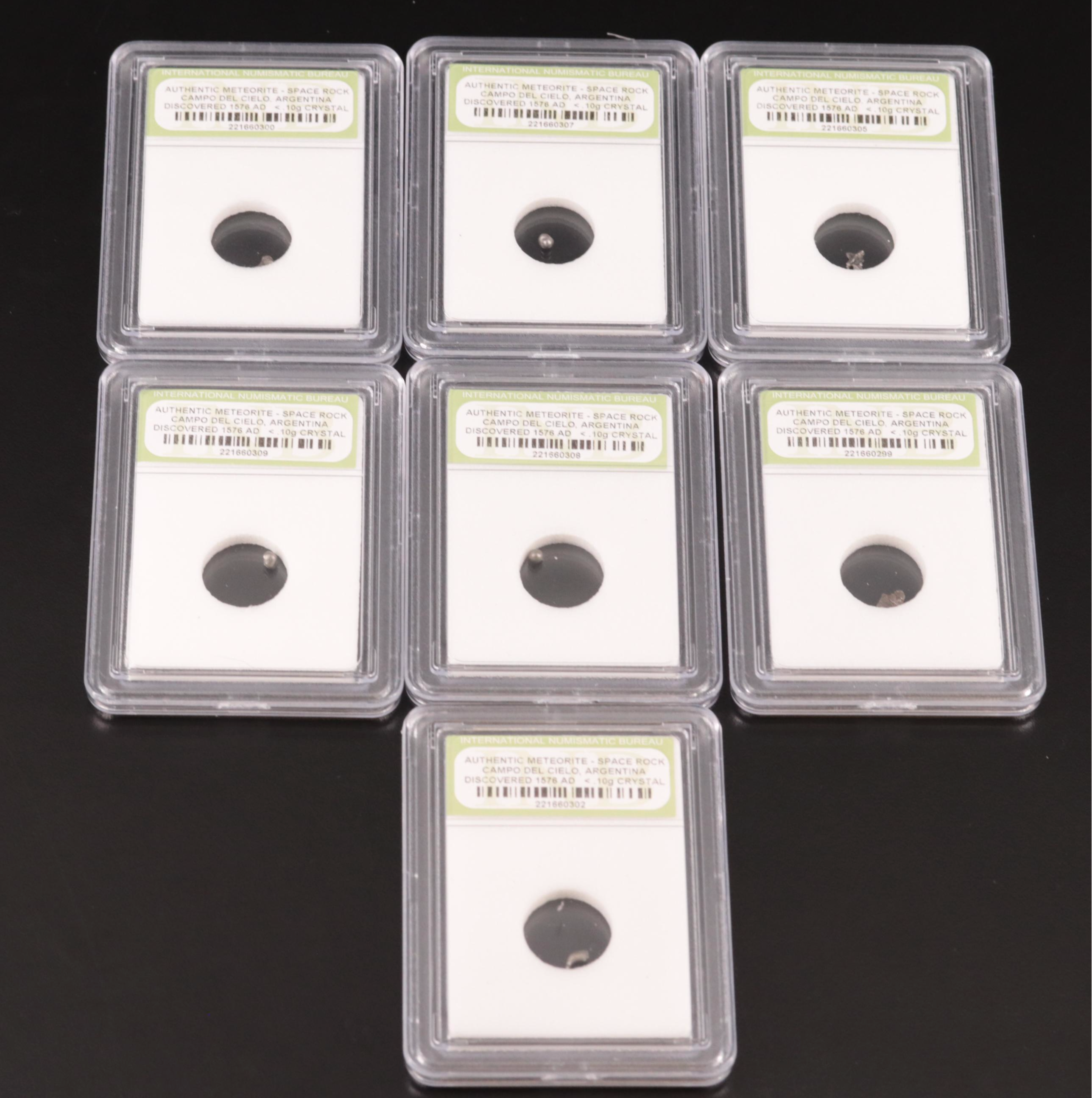 Group of Twenty-Five Meteorites from the Campo Del Cielo Region of Argentina
