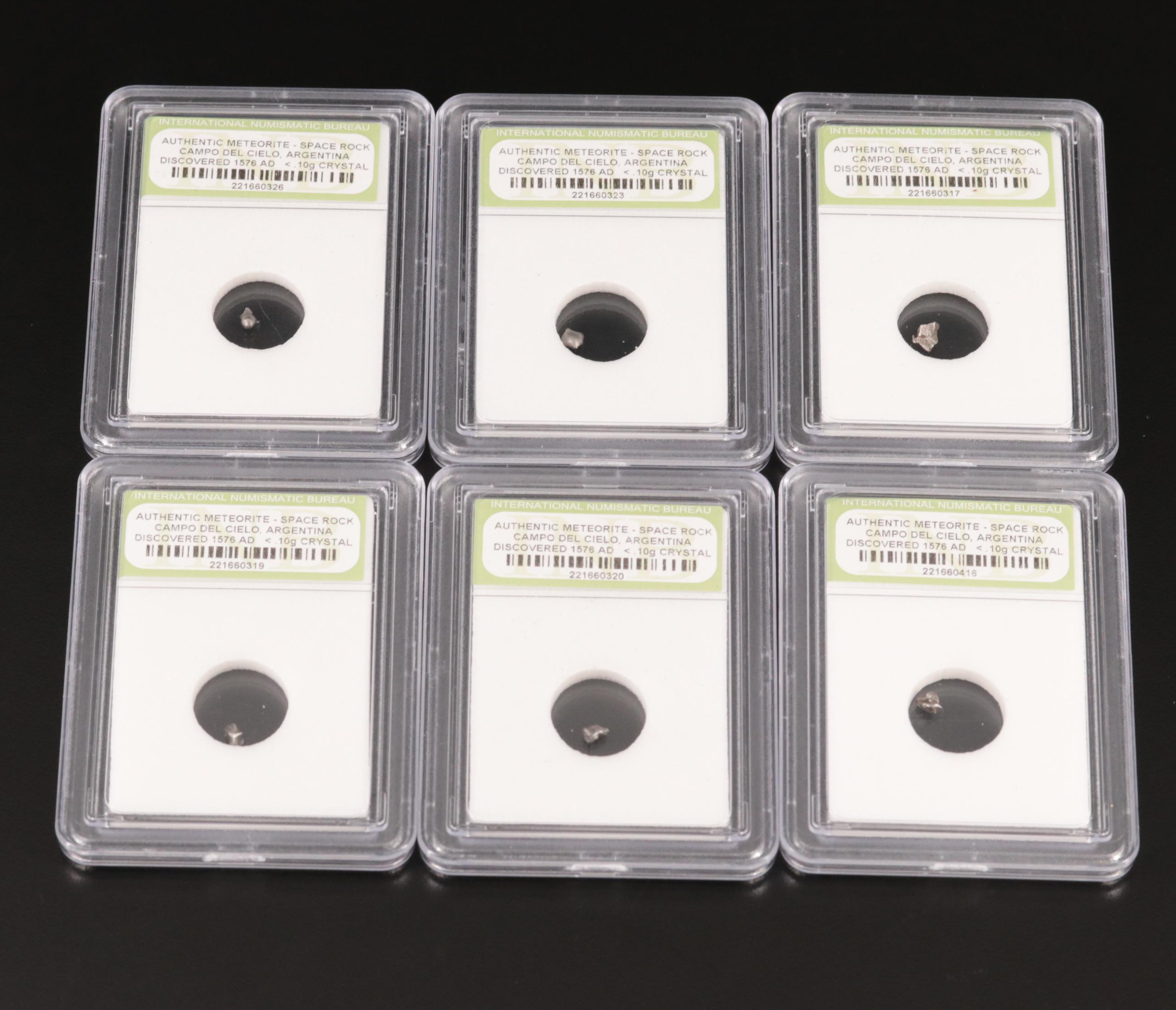 Twenty-Five Meteorites from the Campo Del Cielo Region of Argentina