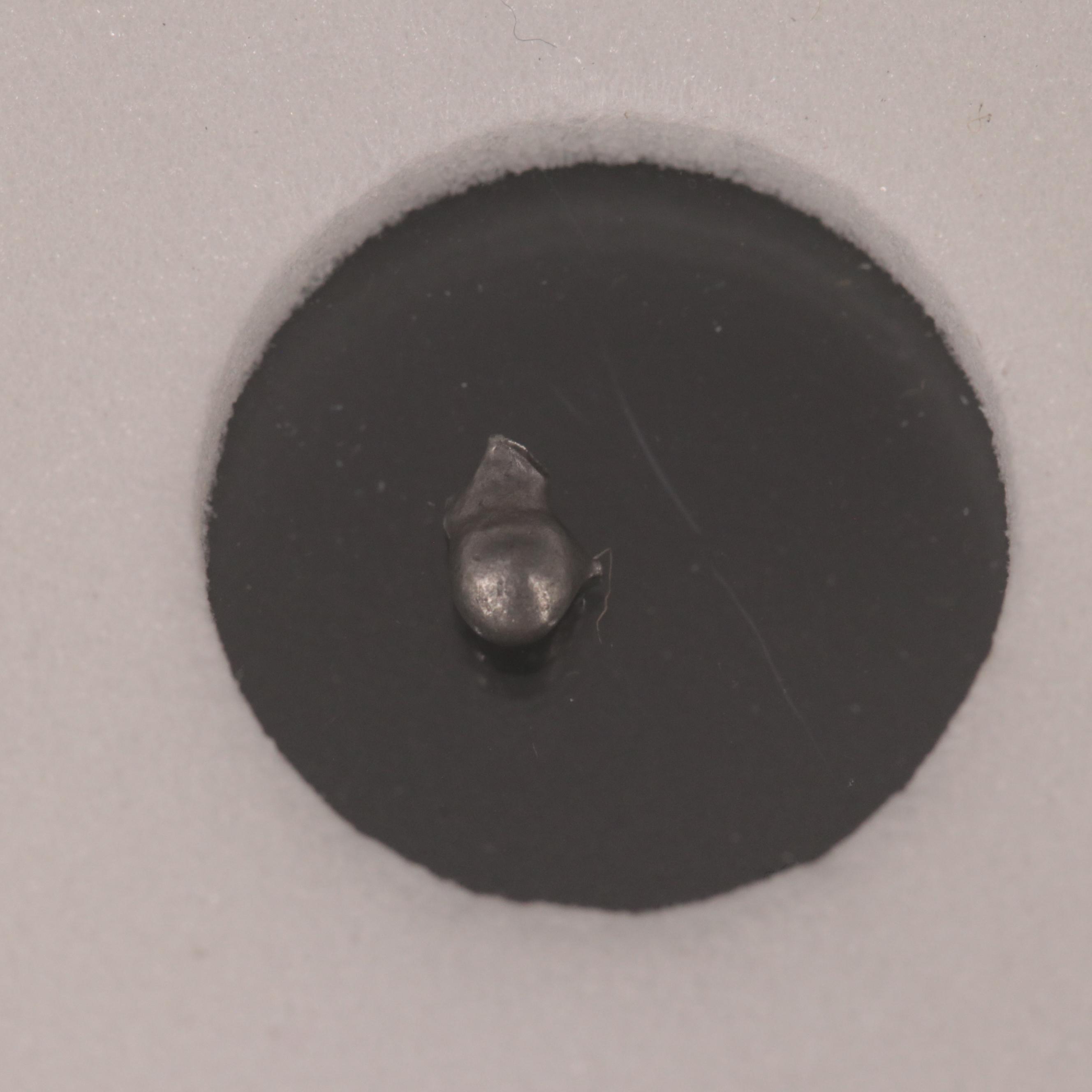 Twenty-Five Meteorites from the Campo Del Cielo Region of Argentina