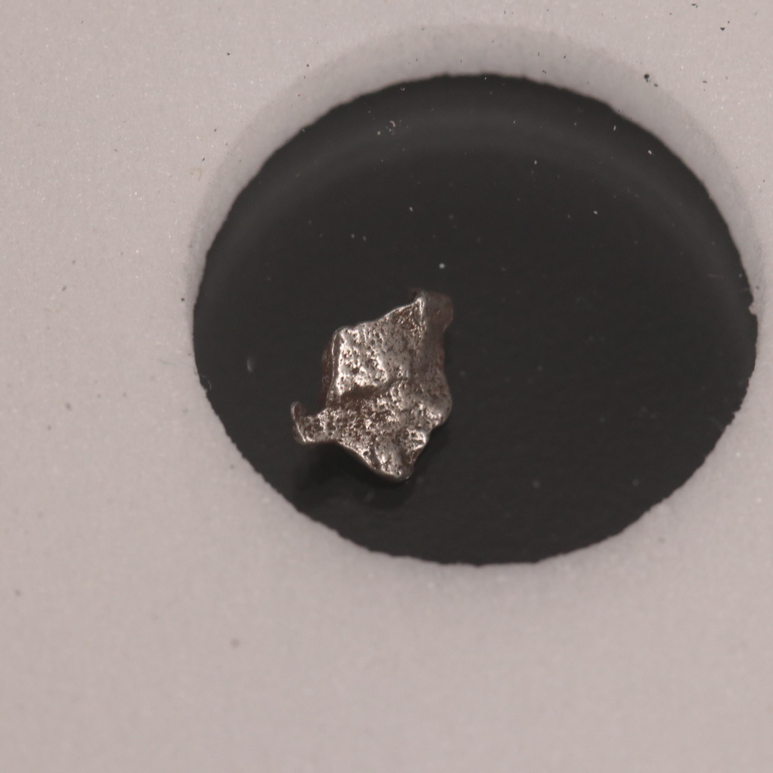 Twenty-Five Meteorites from the Campo Del Cielo Region of Argentina