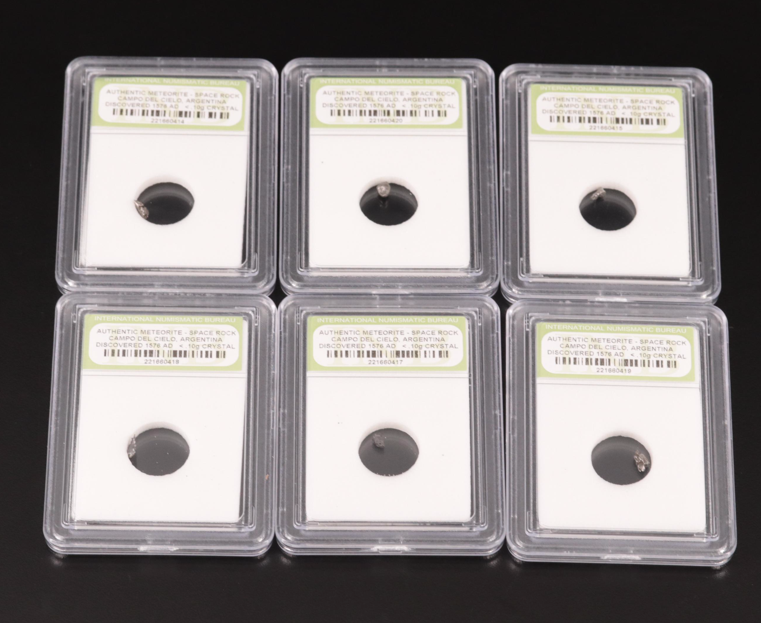 Twenty-Five Meteorites from the Campo Del Cielo Region of Argentina