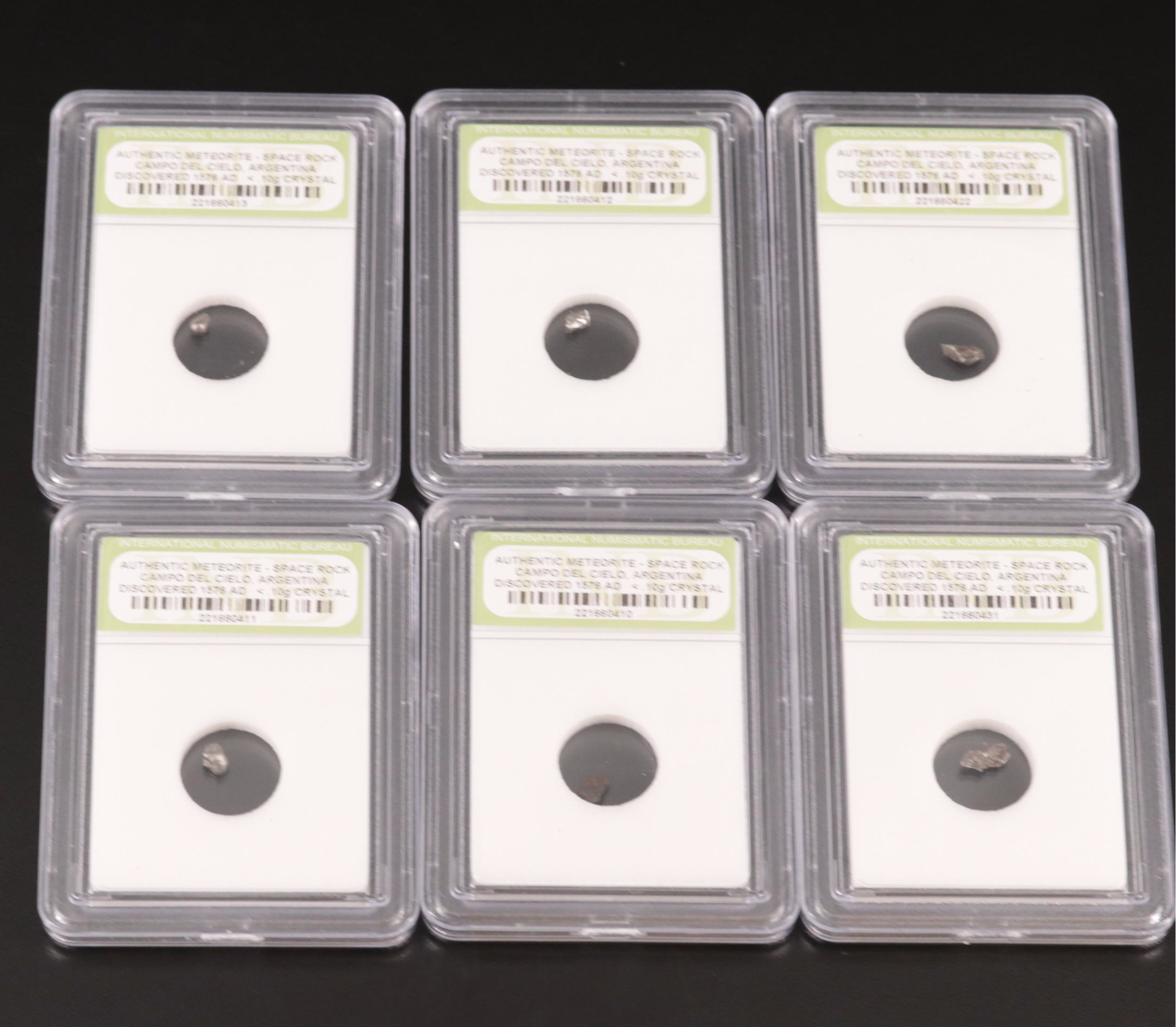 Twenty-Five Meteorites from the Campo Del Cielo Region of Argentina