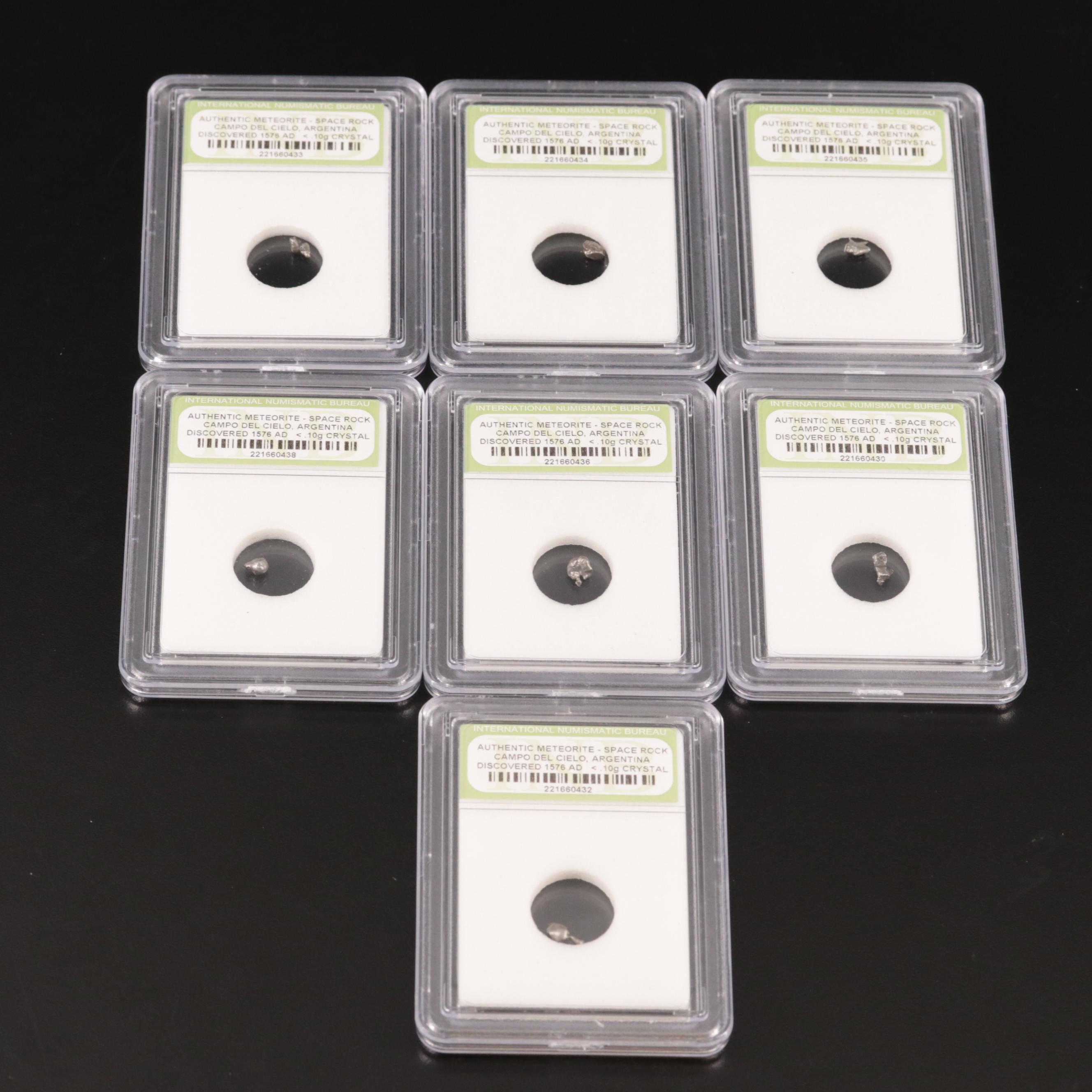 Twenty-Five Meteorites from the Campo Del Cielo Region of Argentina